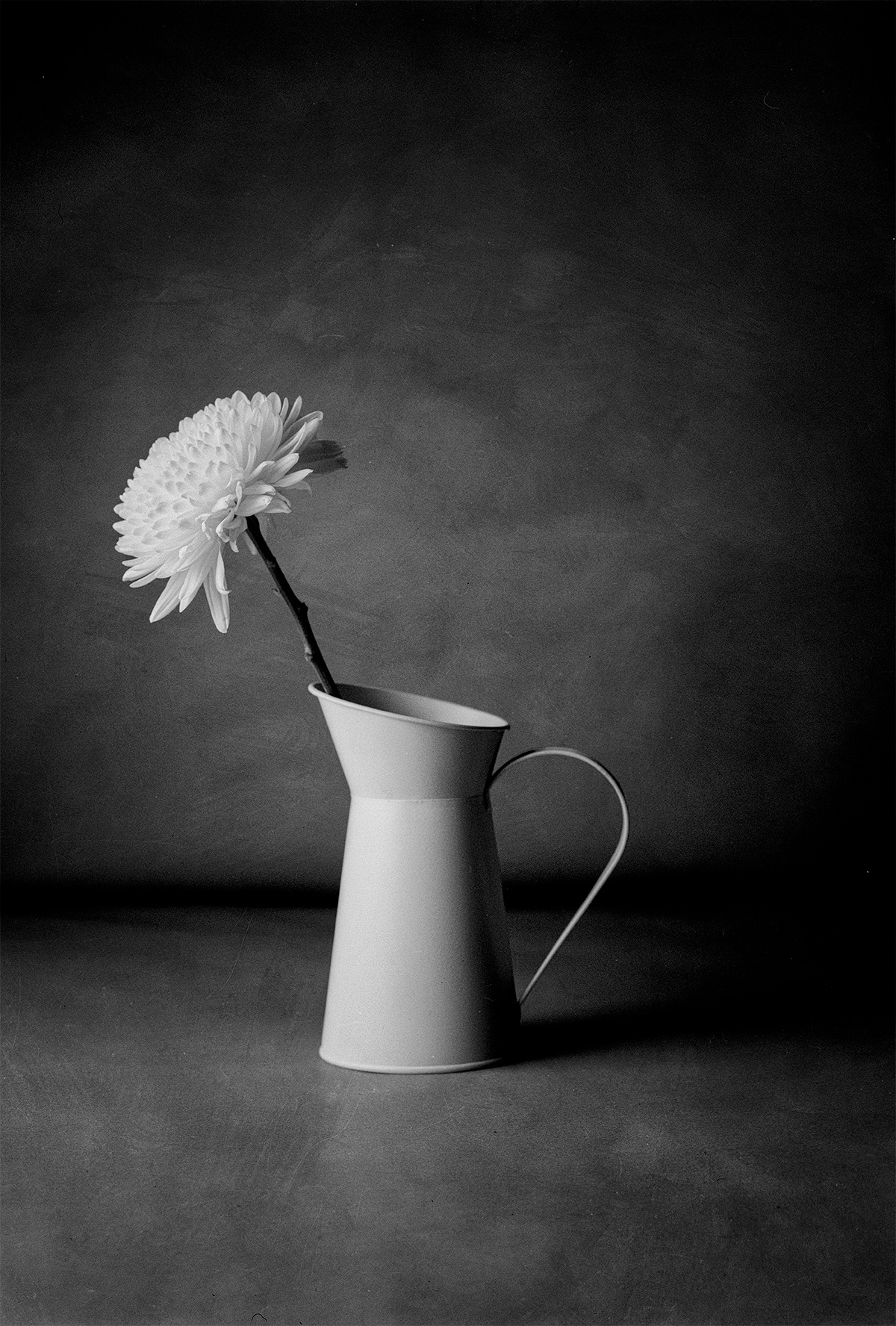 Taken with a large format 4x5 inch film camera and developed with a loving hand - mine. (Approximate size 60cm x 40 cm - $AU400)