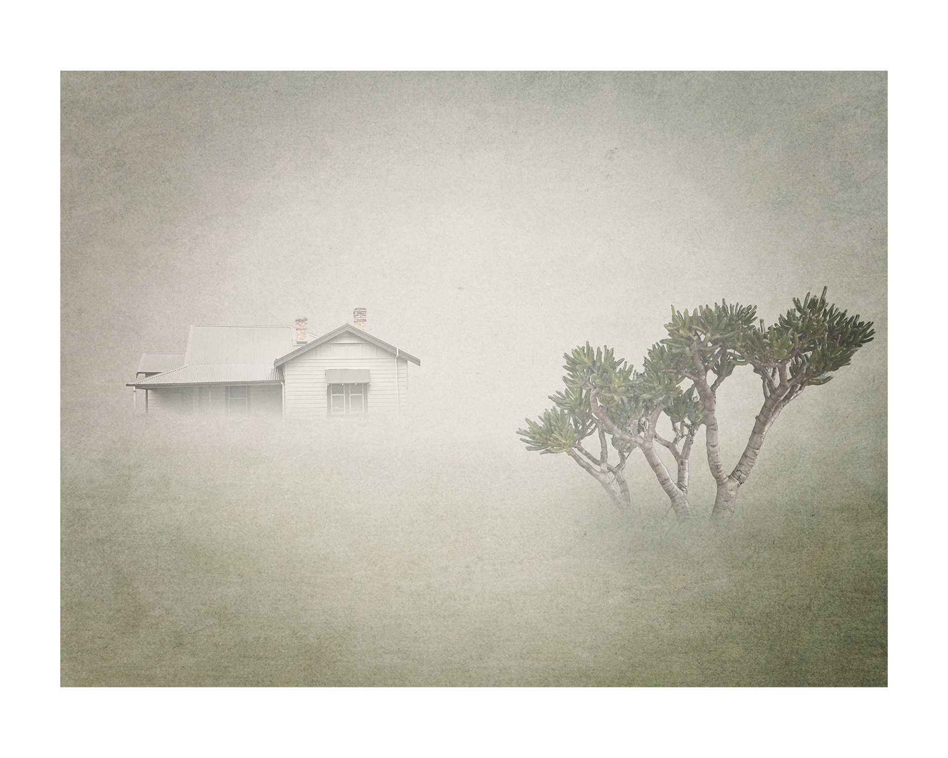 Fading memories (Approximate size 60cm x 40 cm - $AU400)