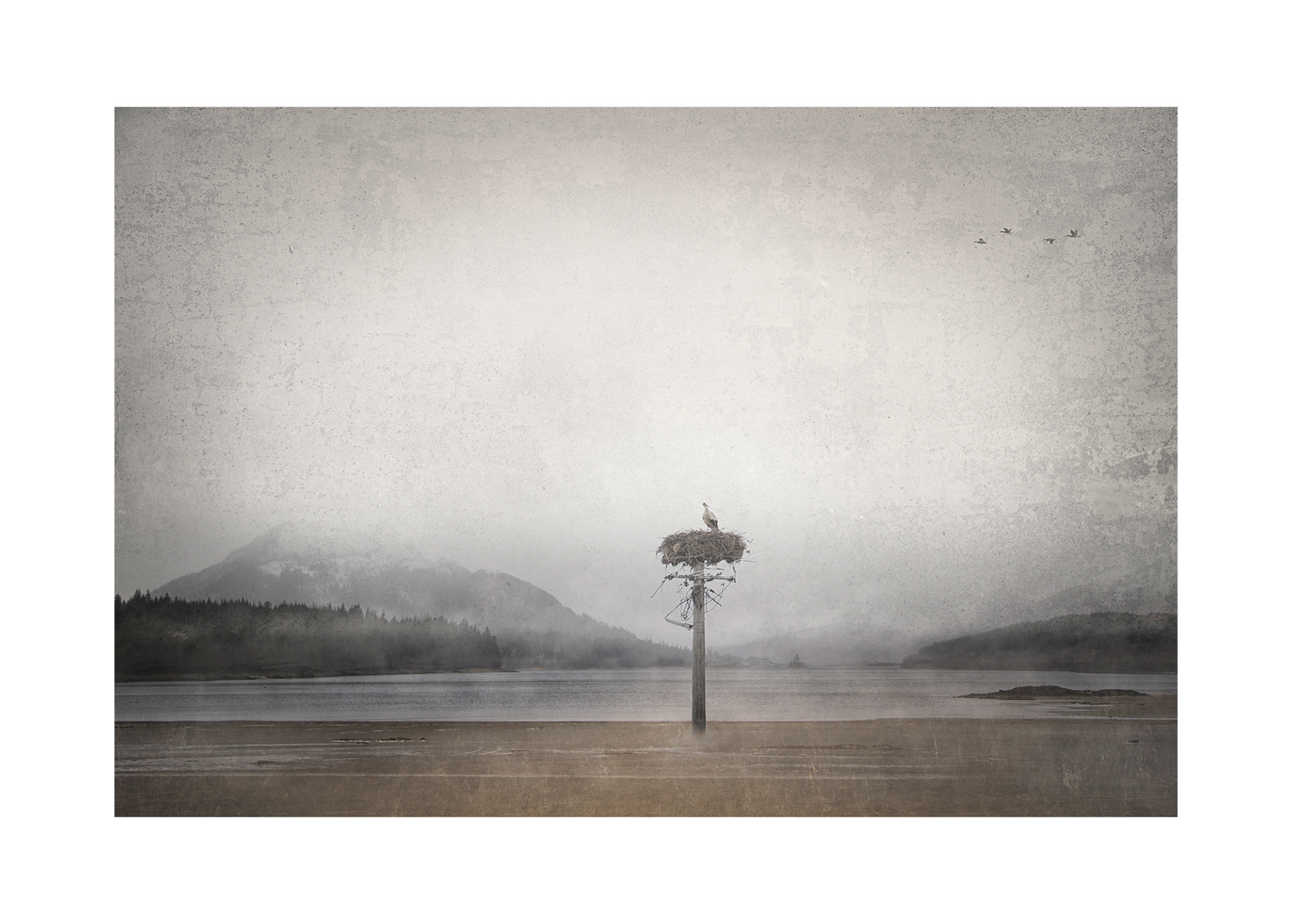 A room with a view (Approximate size 60cm x 40 cm - $AU400)