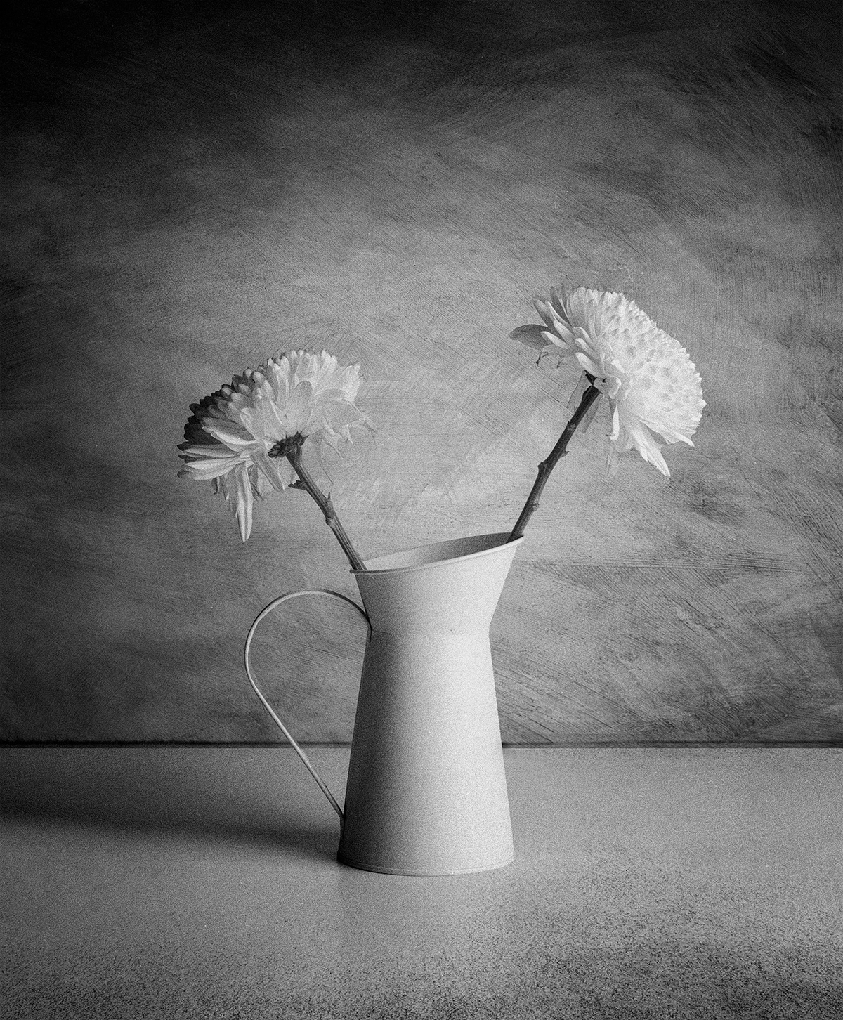 Taken with a large format 4x5 inch film camera and developed with a loving hand - mine. (Approximate size 60cm x 40 cm - $AU400)