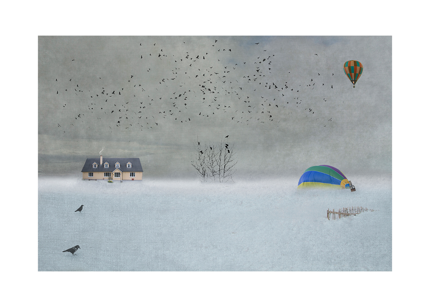 Bird strike (Approximate size 60cm x 40 cm - $AU400)
