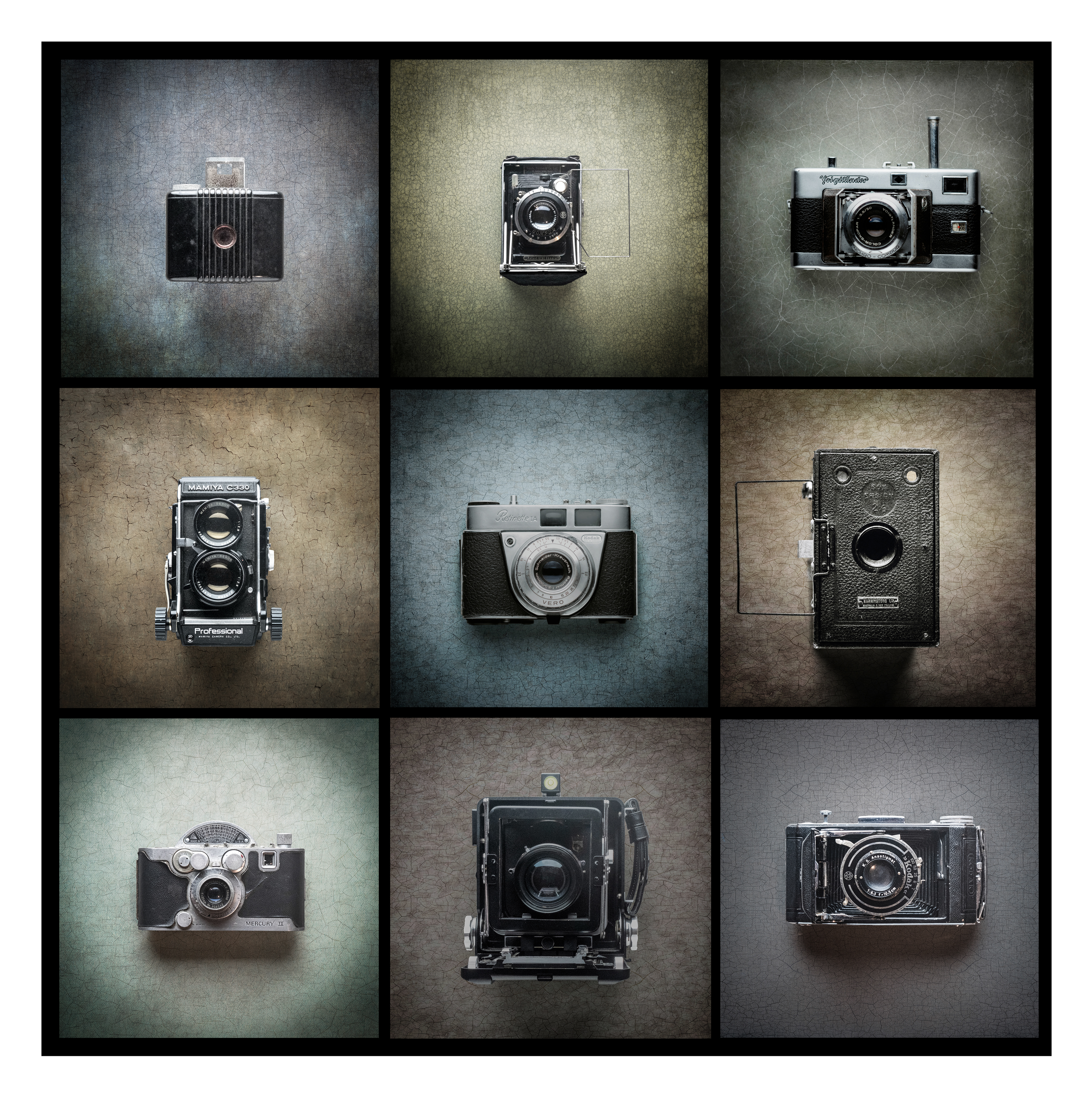 My cameras #1