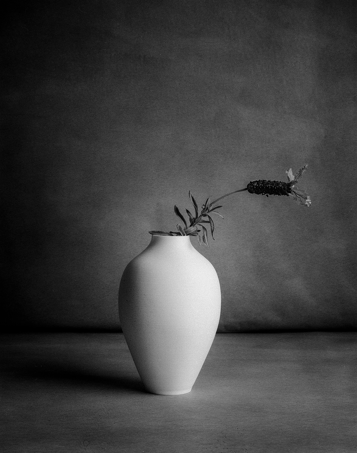 Lavender number 2 - (Approximate size 60cm x 40 cm - $AU400)