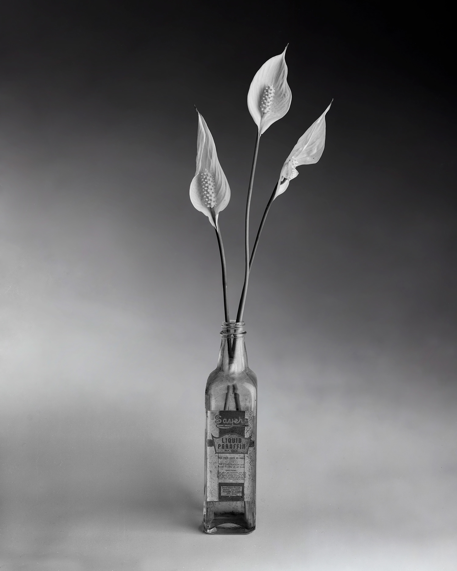 Peace Lilies - Taken with a large format 8x10 inch film camera and developed with loving hands - mine. (Approximate size 60cm x 40 cm - $AU400)