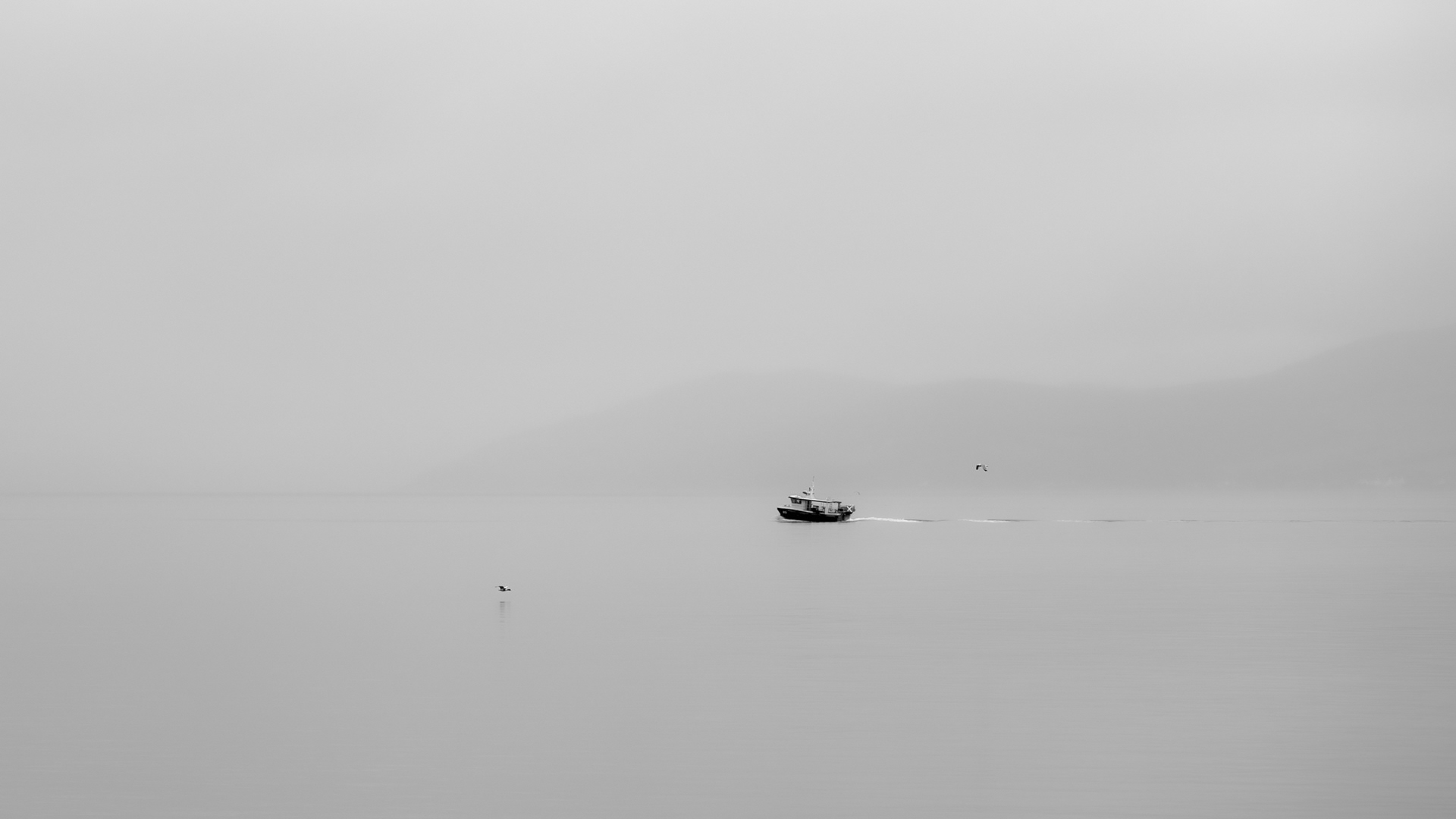 Peaceful Fishing