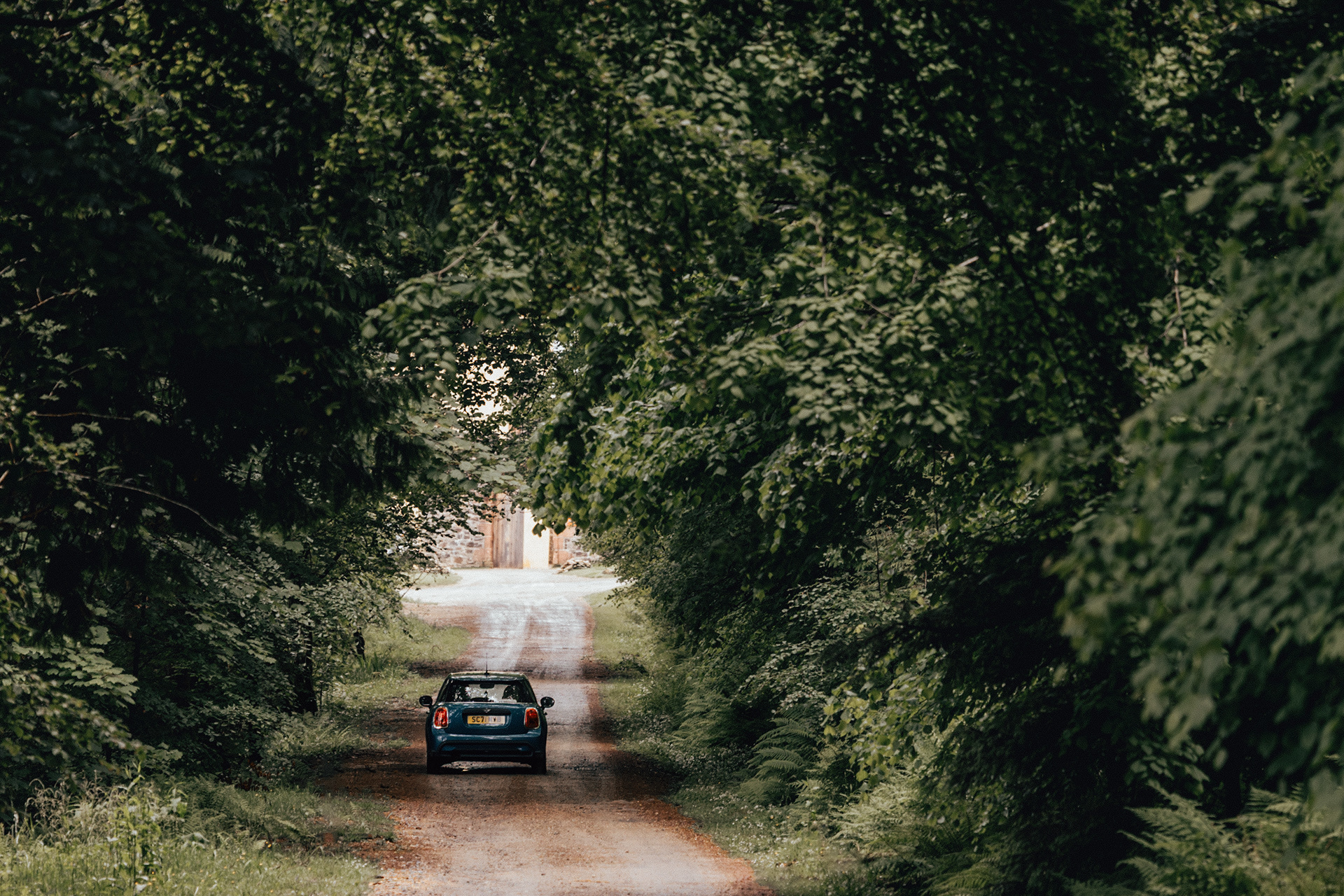 Road To Saddell Bay