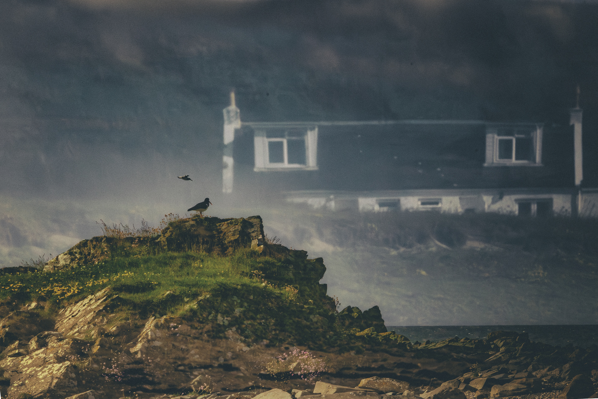 Ardnacross Oyster Catchers