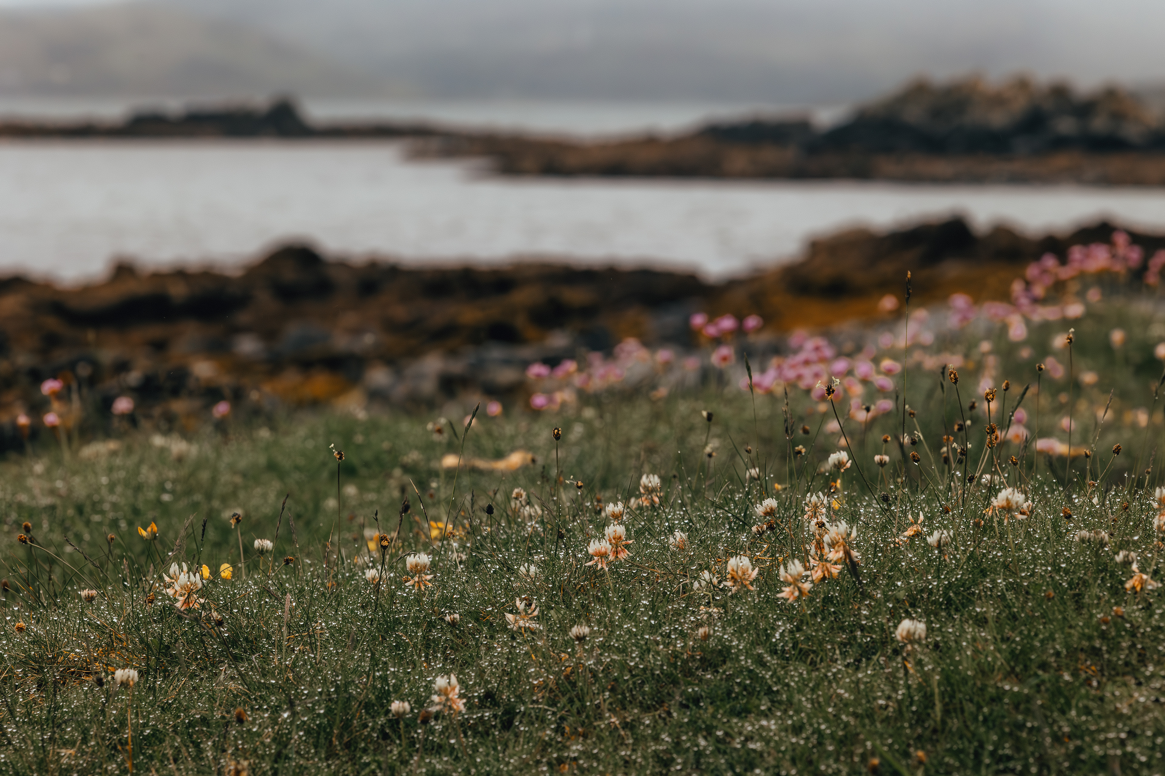 Ardnacross