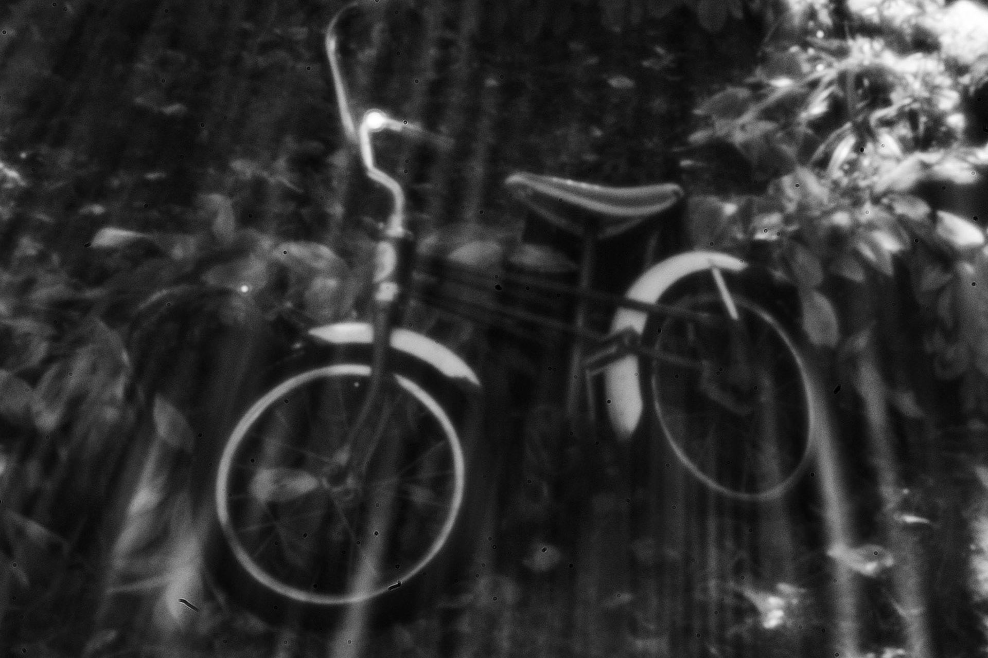 Scenope d'une bicyclette