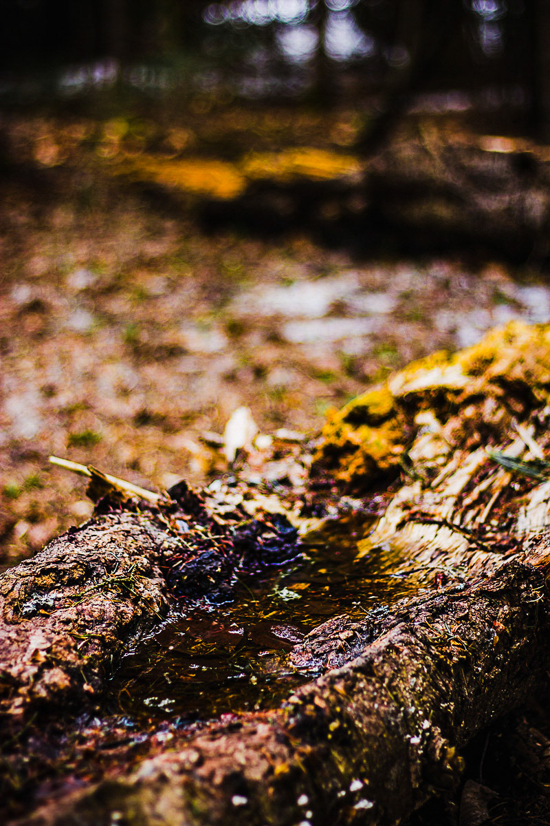 Un peu d'eau a boire