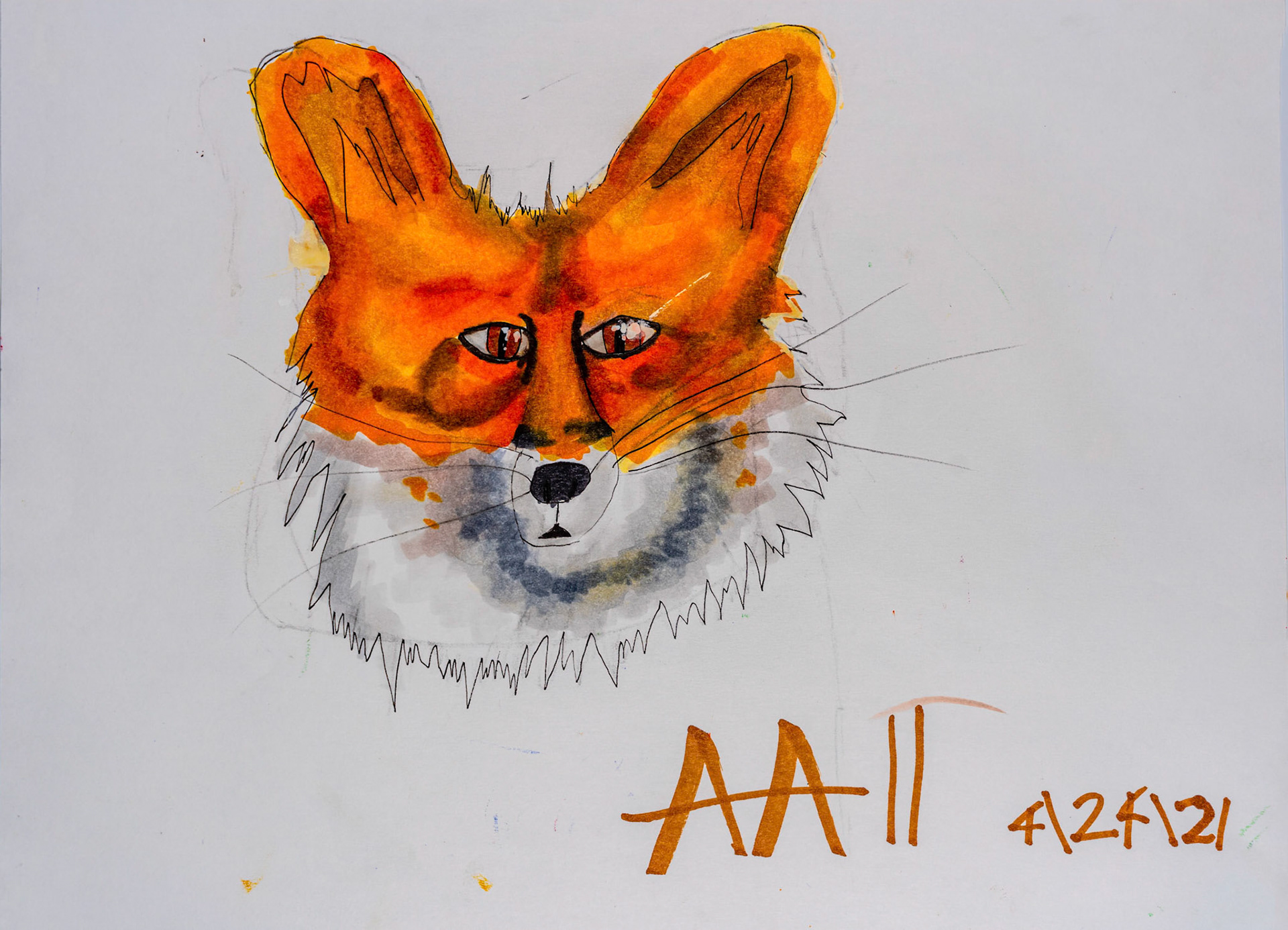 Fox