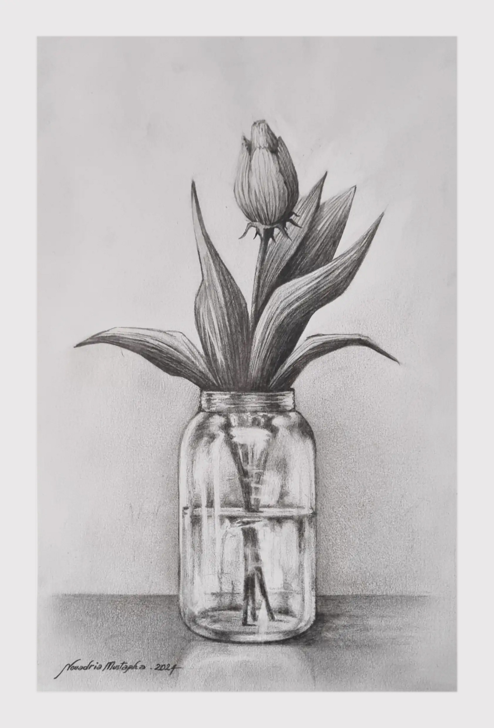 A pencil sketch of a single tulip bud in a glass jar filled with water. The leaves of the tulip are long and pointed, and the bud is tightly closed. The sketch is set against a plain background, with the jar resting on a surface.