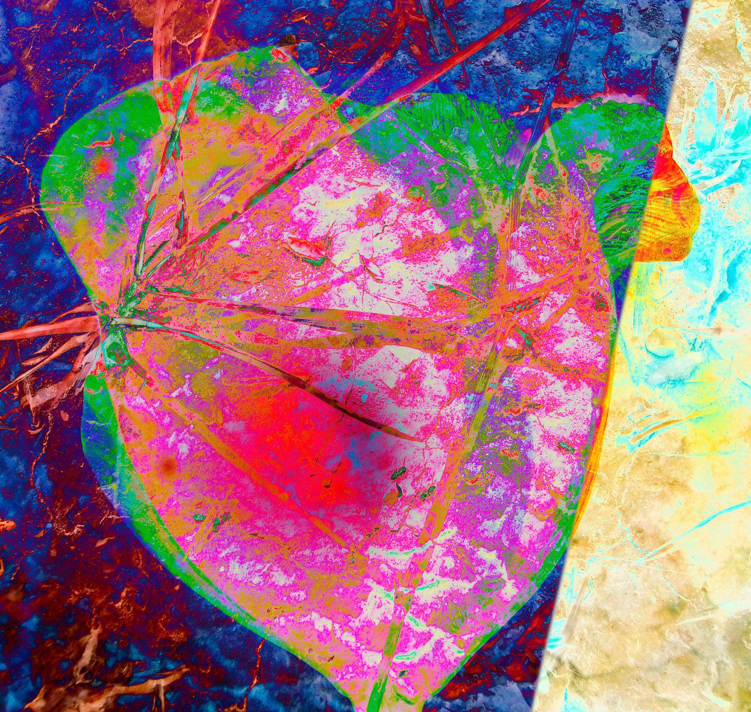 Sincretismo, serie de fotografías y video arte. de Naikari Díaz