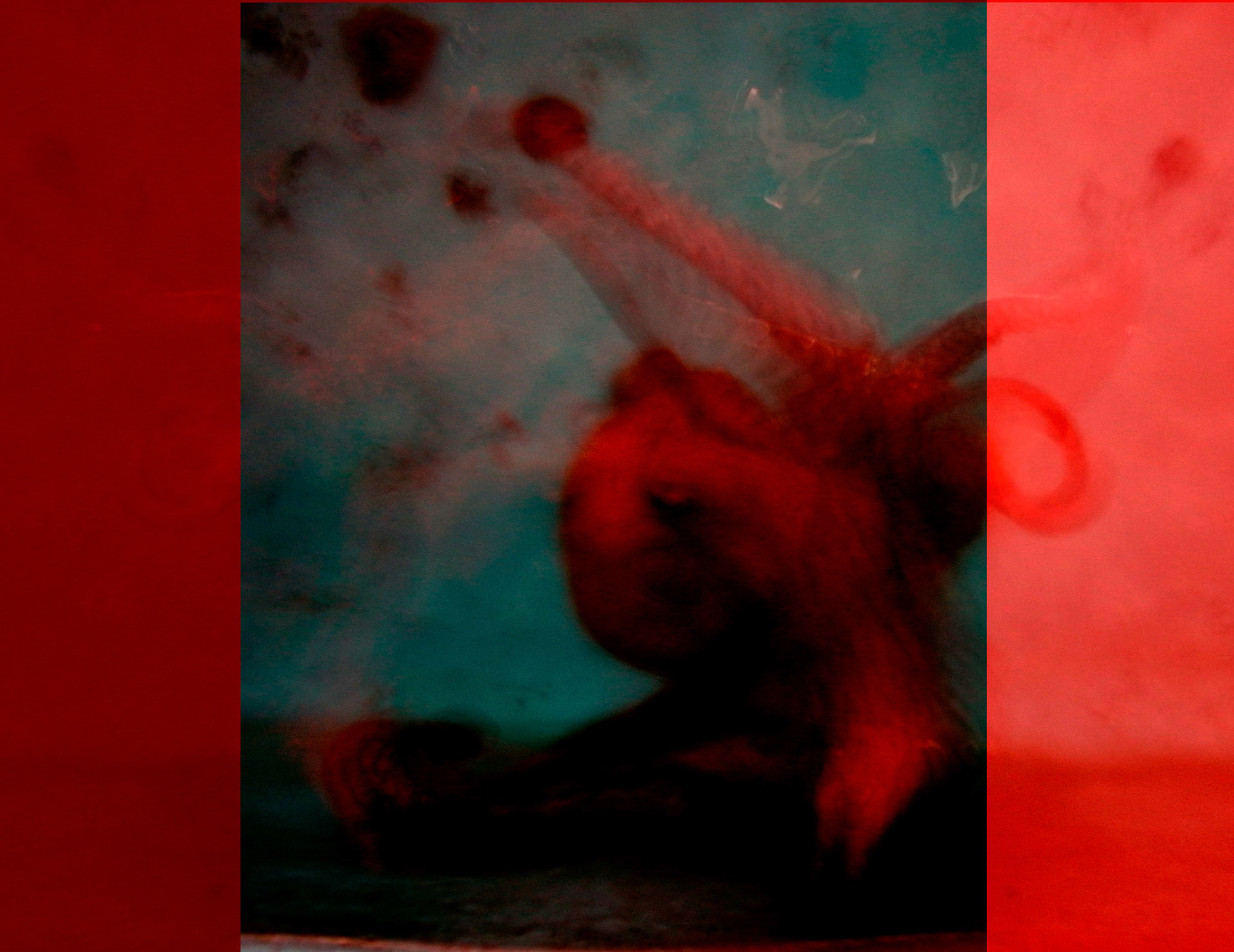 Sincretismo, serie de fotografías y video arte. de Naikari Díaz