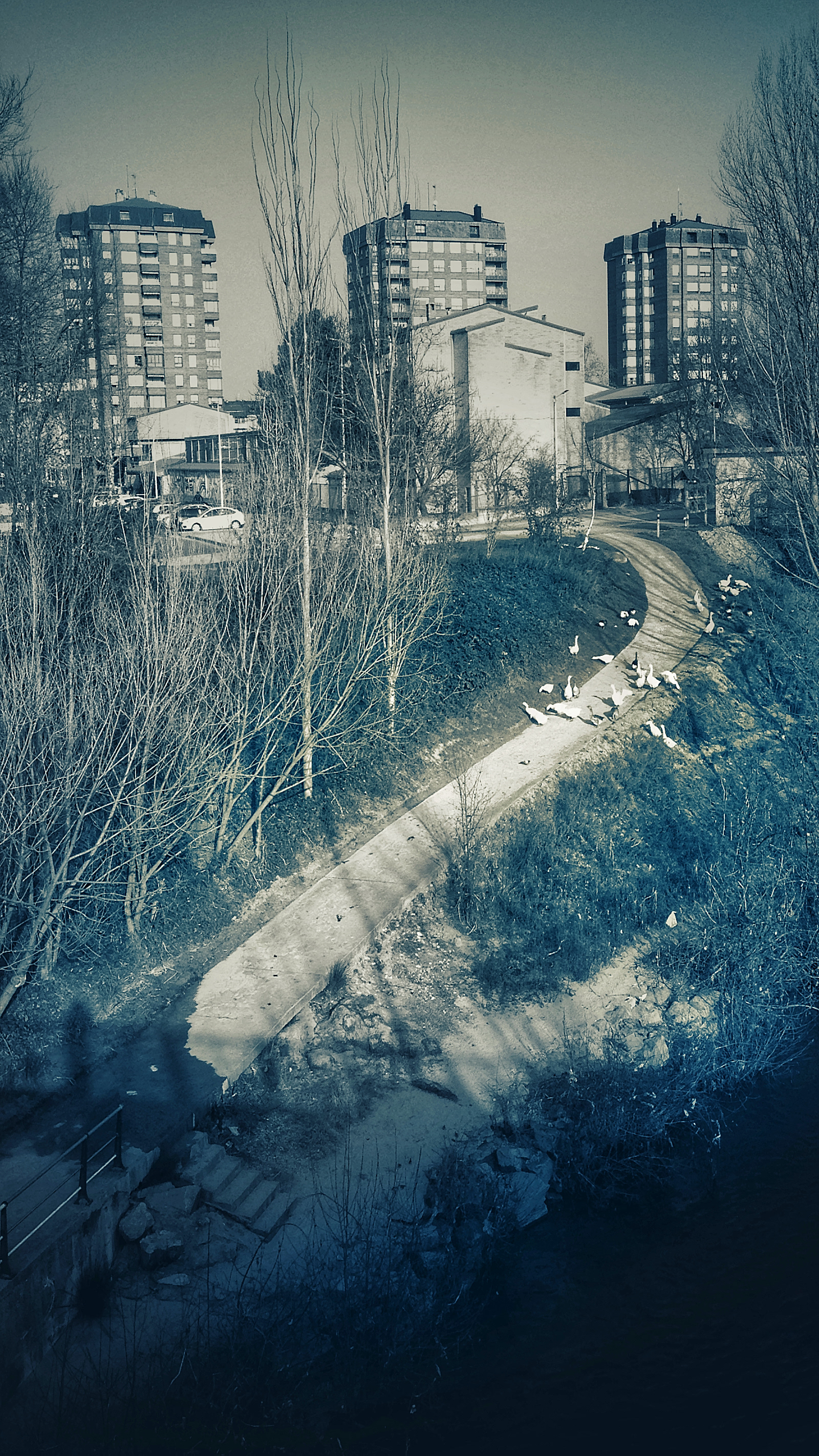 © Naikari Díaz