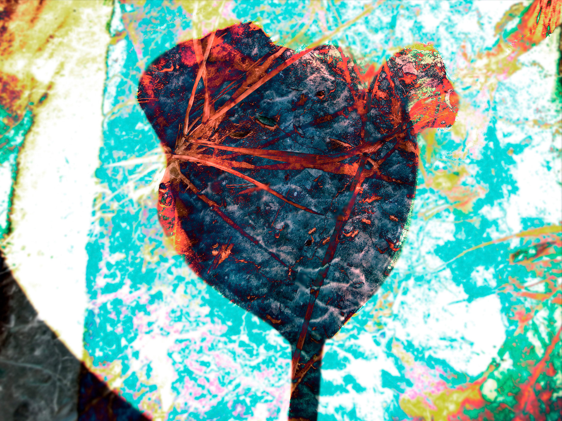 Sincretismo, serie de fotografías y video arte. de Naikari Díaz