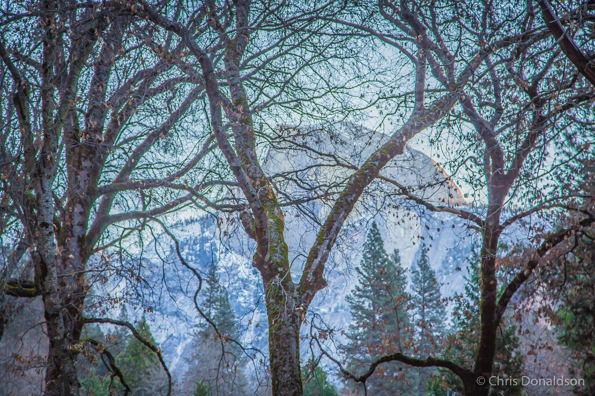 California Dreaming, Yosemite, 2014