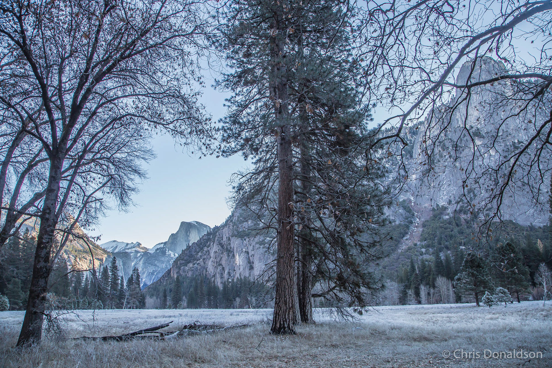 Half Dome Eary Frost, Yosemite, 2014
