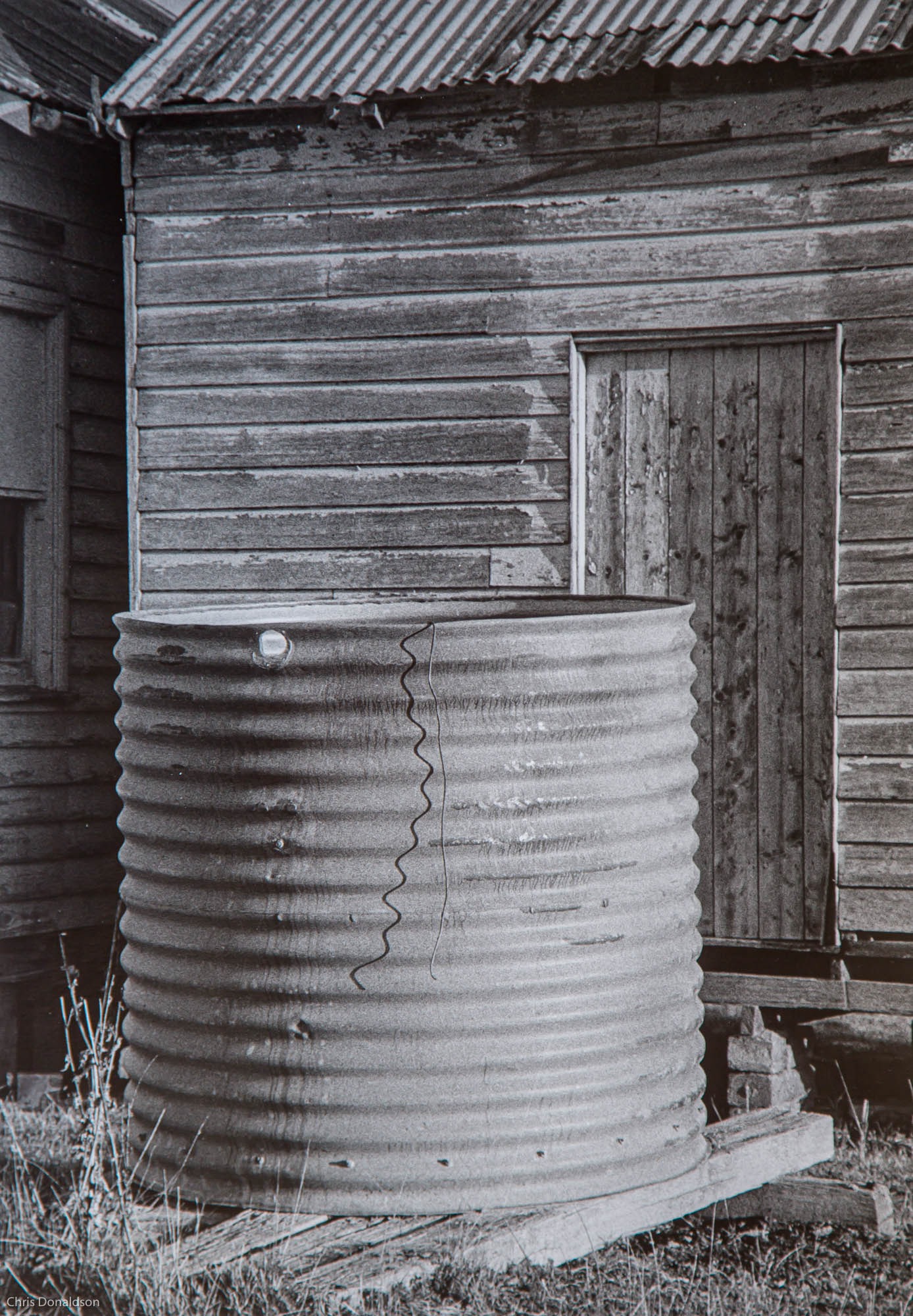 Afternoon Sun at Play