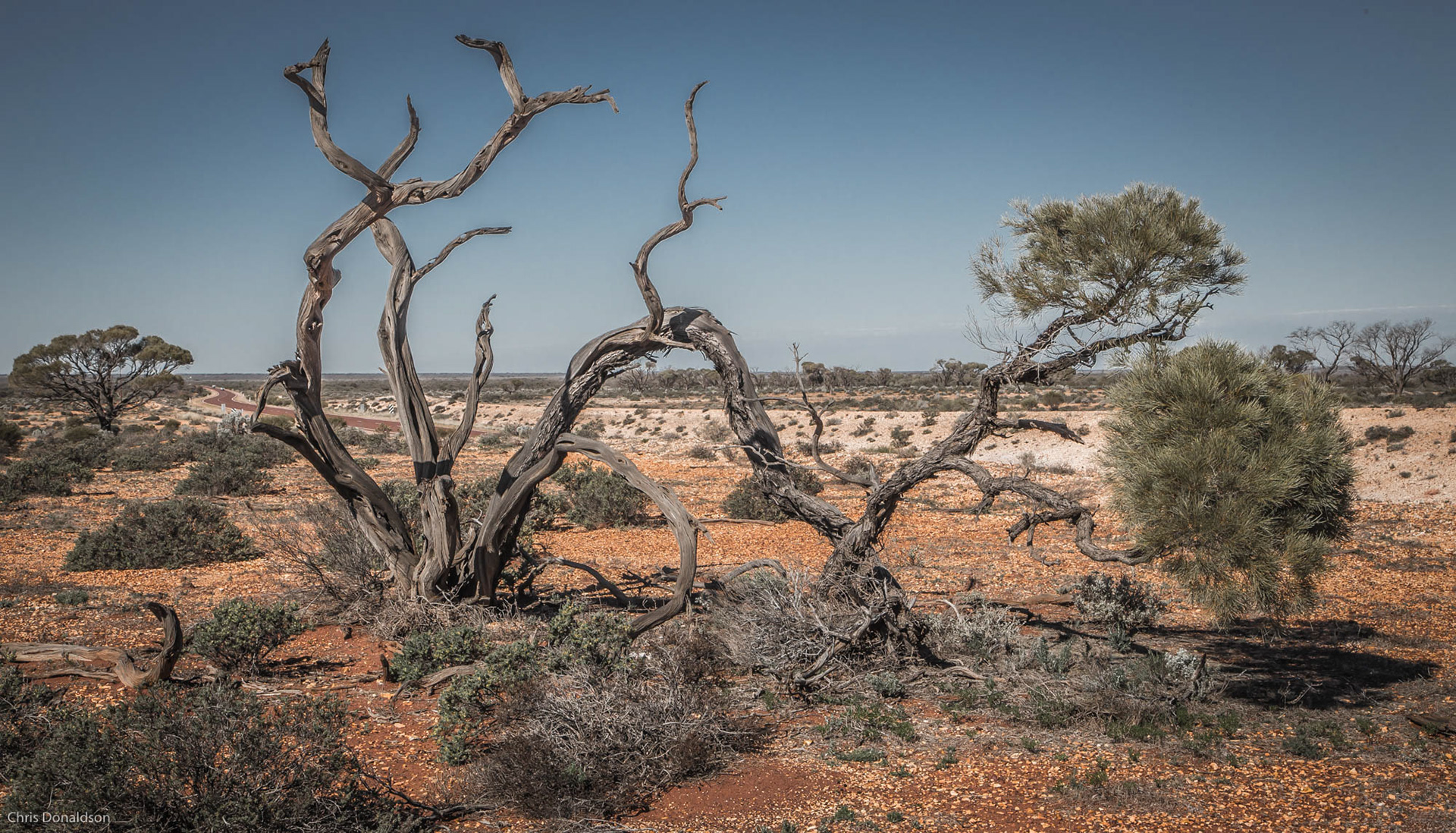 Stuart Highway Twisted Tale