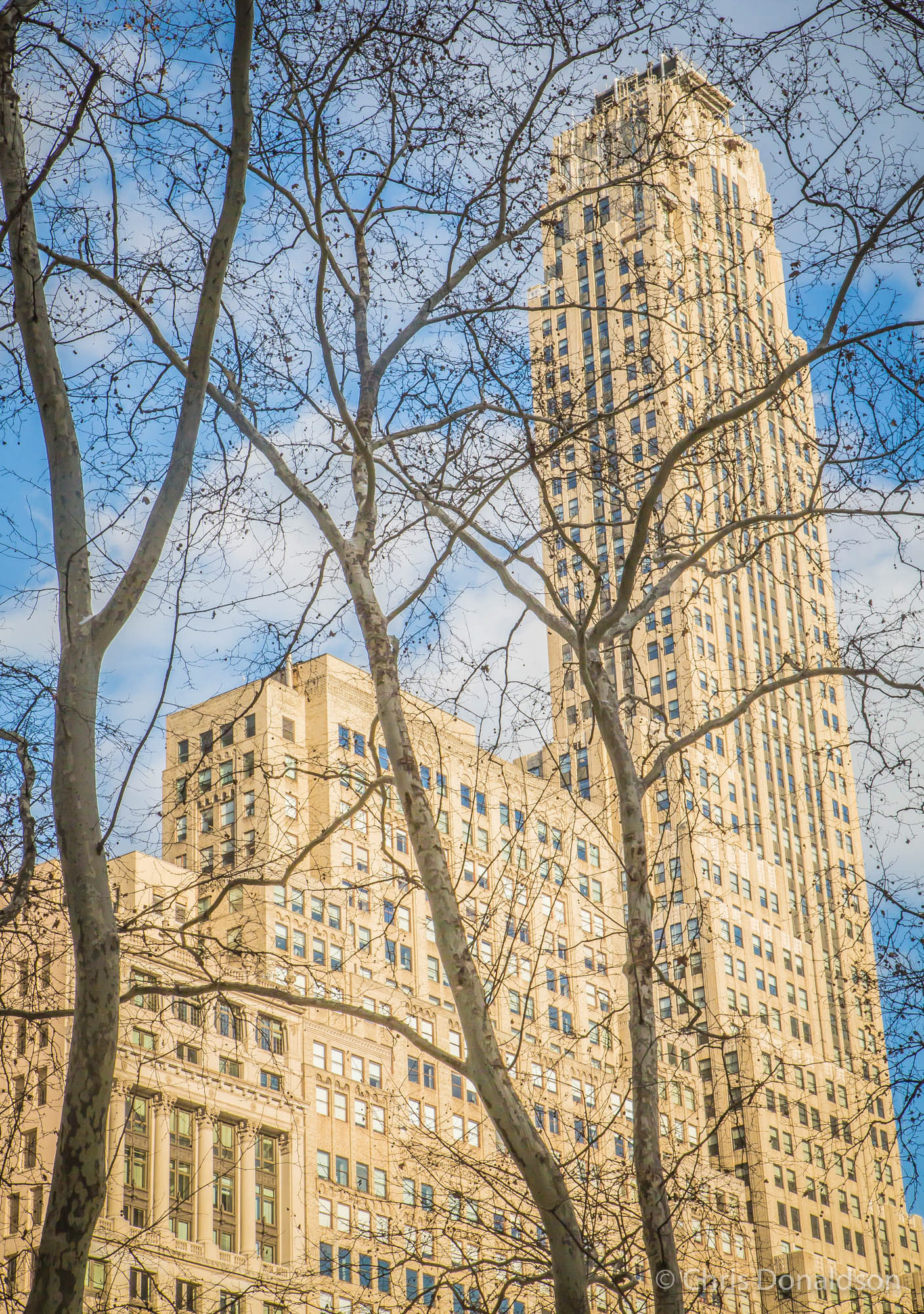 Golden Days, New York, 2014