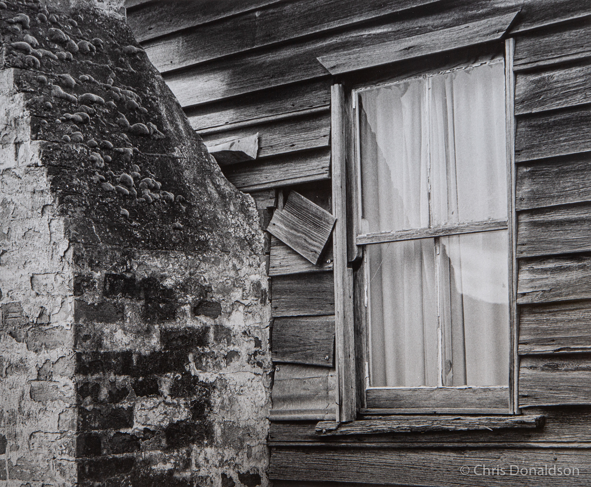 Lifelong Companions - Delegate, 2104