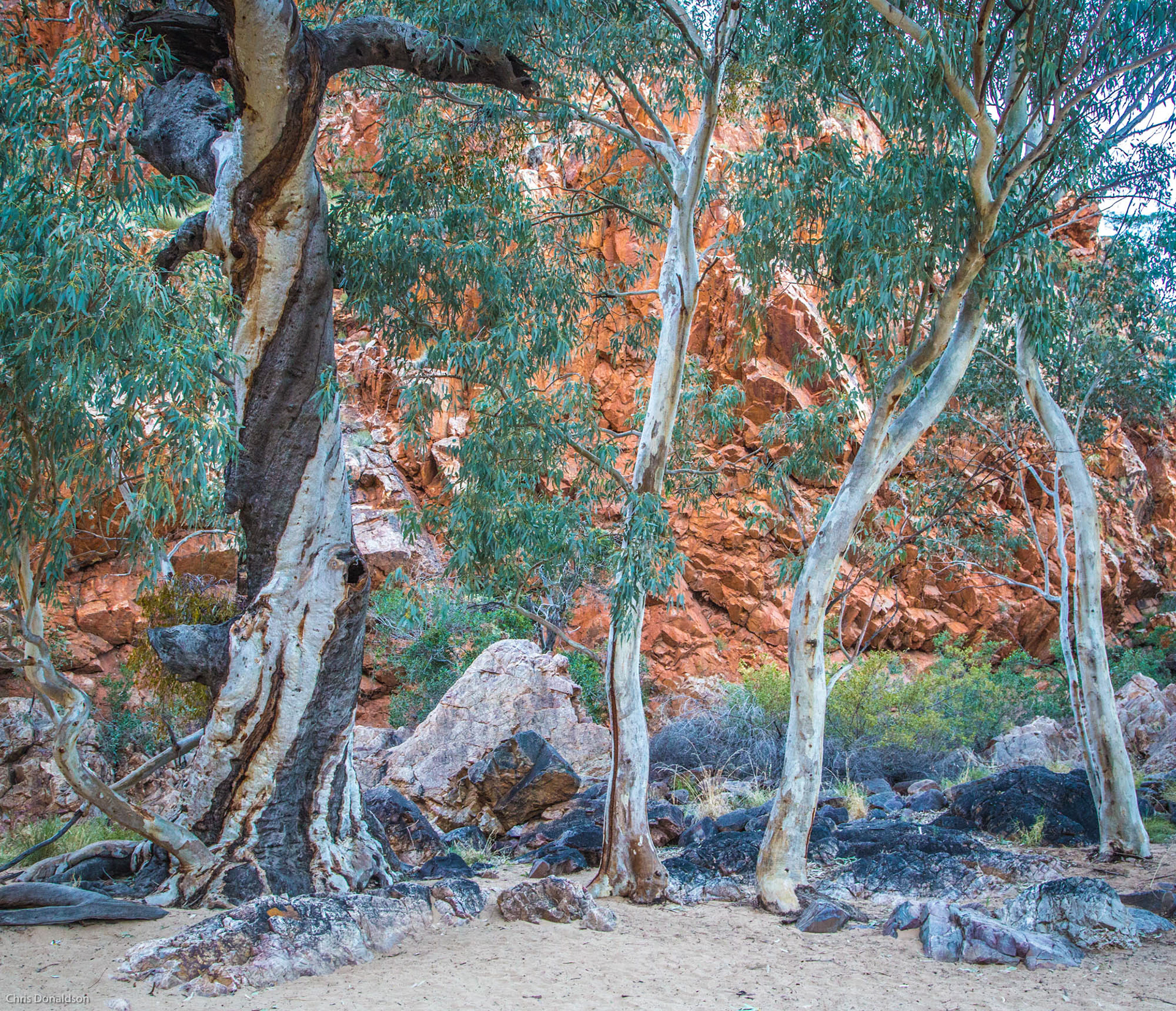 Ormiston Gorge Quartet