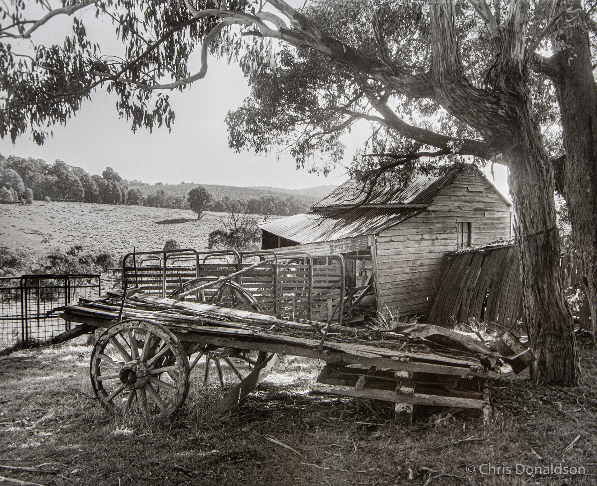 Old Cottage and Cart - Bendoc, Victoria, 2014