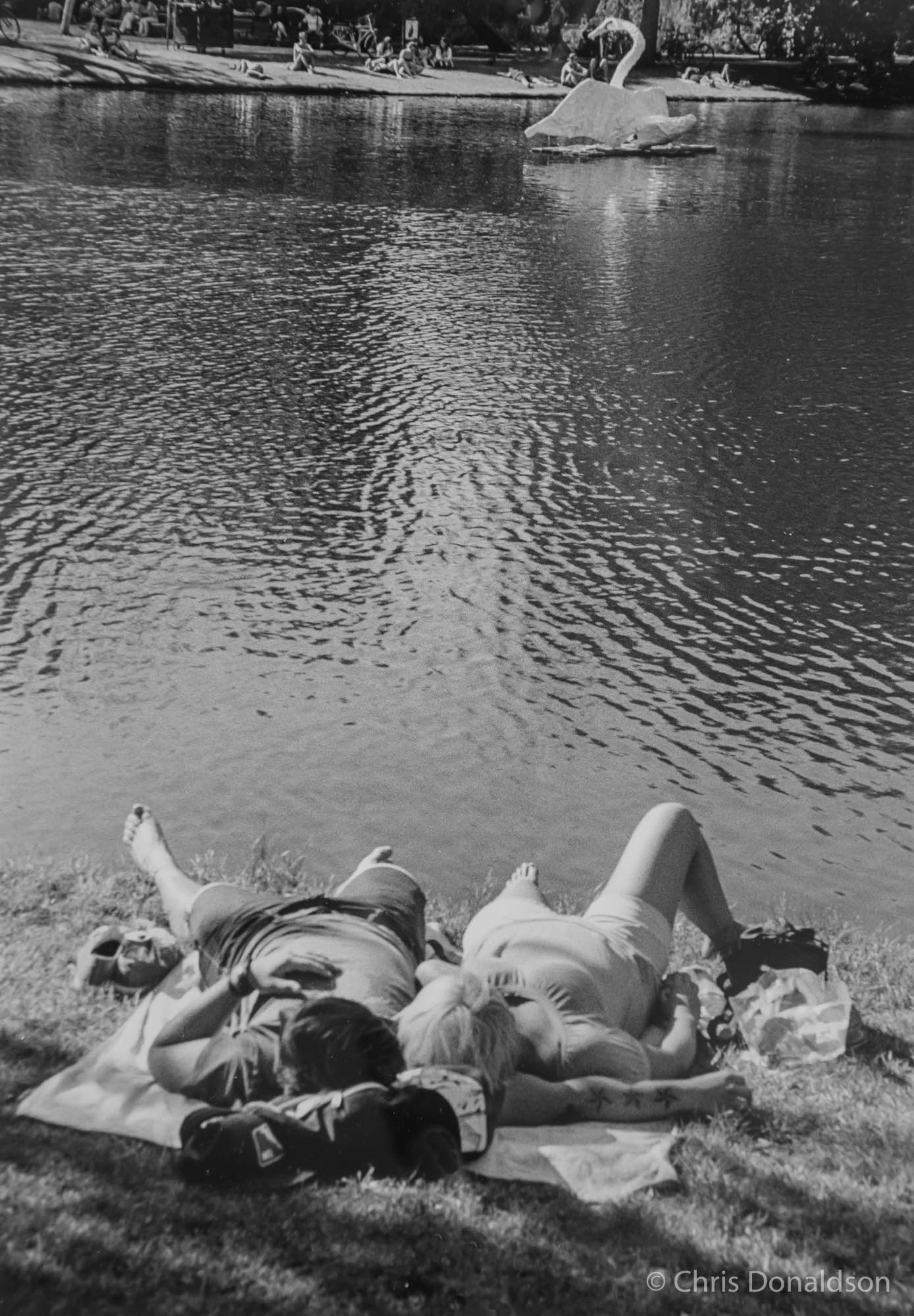 Far from the Madding Crowd, Amsterdam, 2014