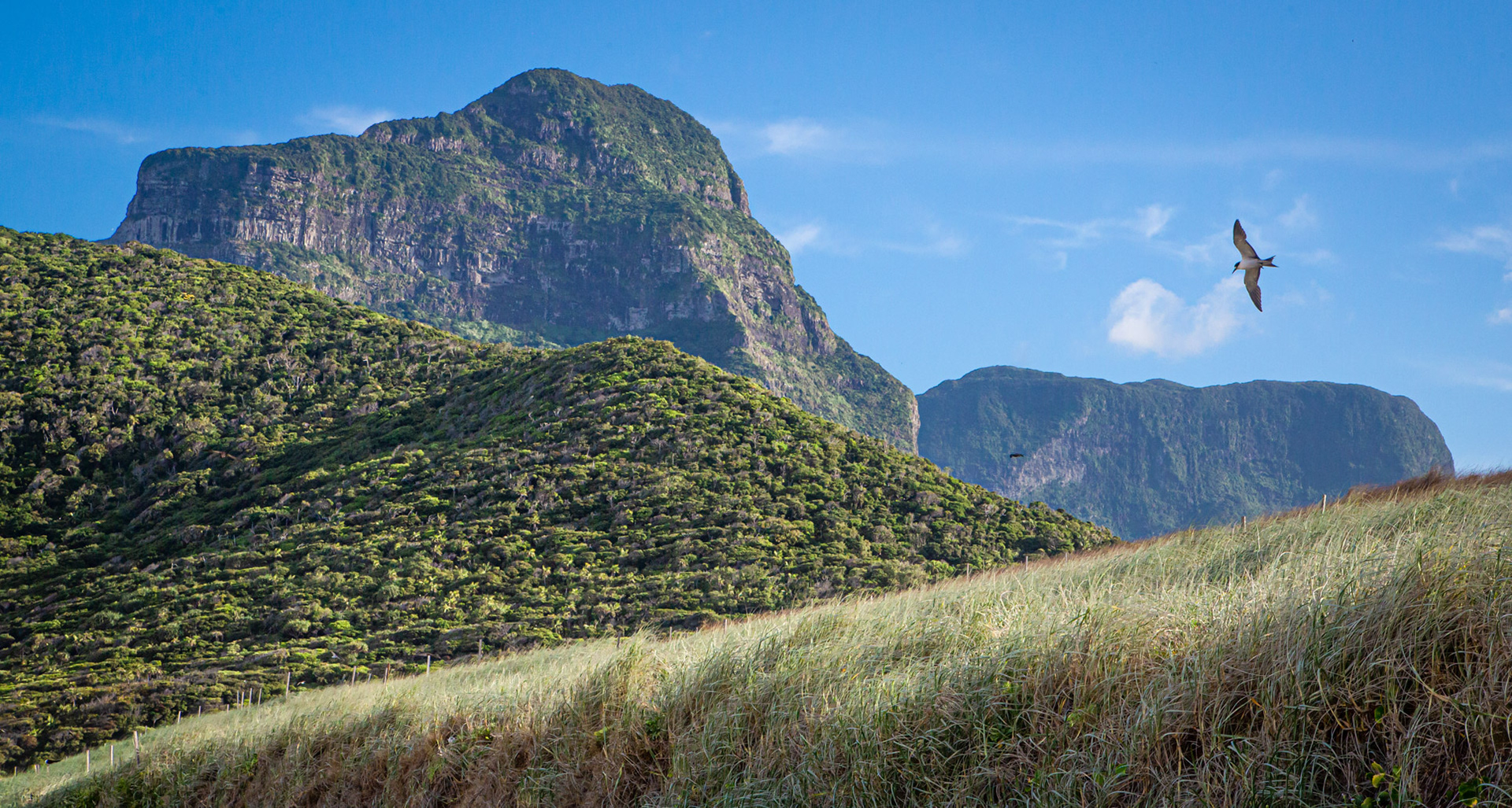 "Layers of Lord Howe" - Lord Howe Island 2023