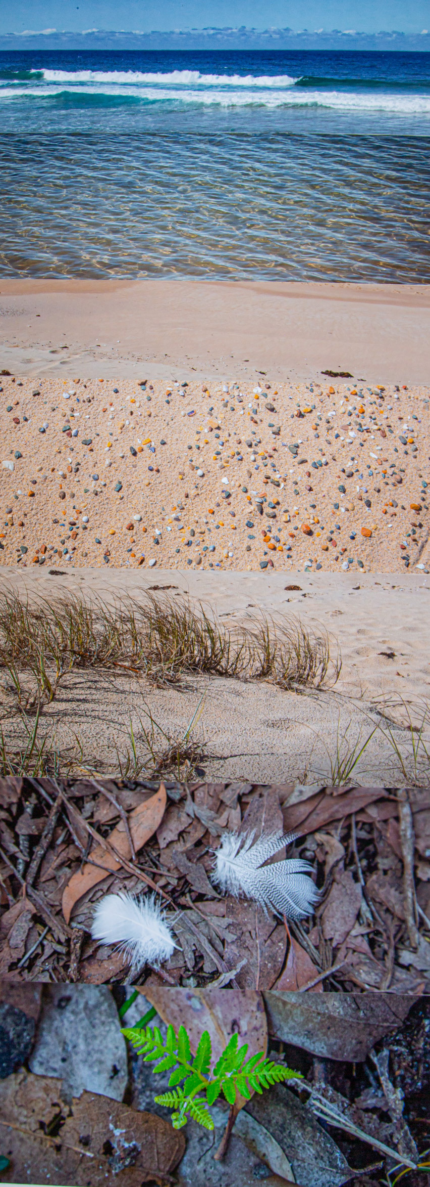 "Flight of the River Songman" - Mittagong to Termeil Beach NSW 2022