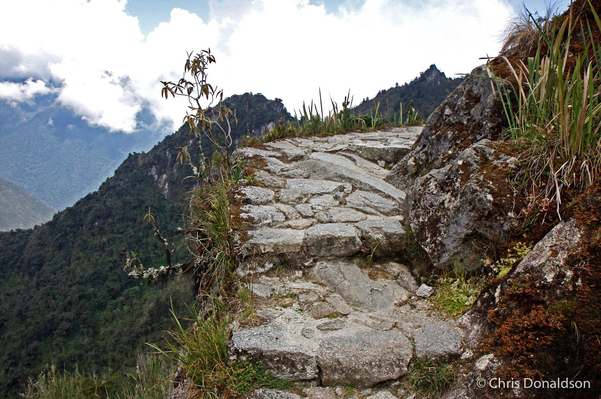 Precipitous Path, Inca Trail