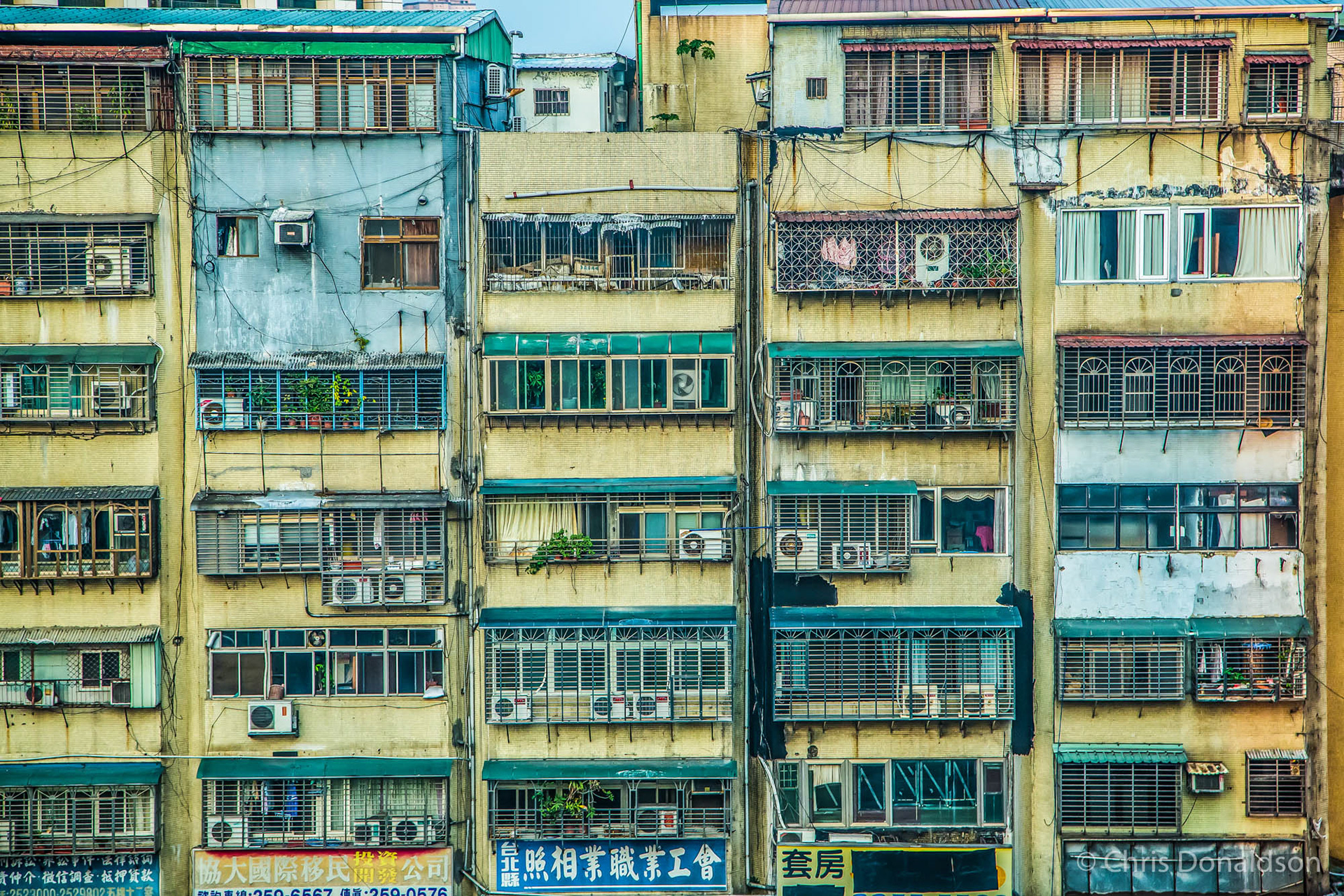 Life Lines, Taiwan, 2014