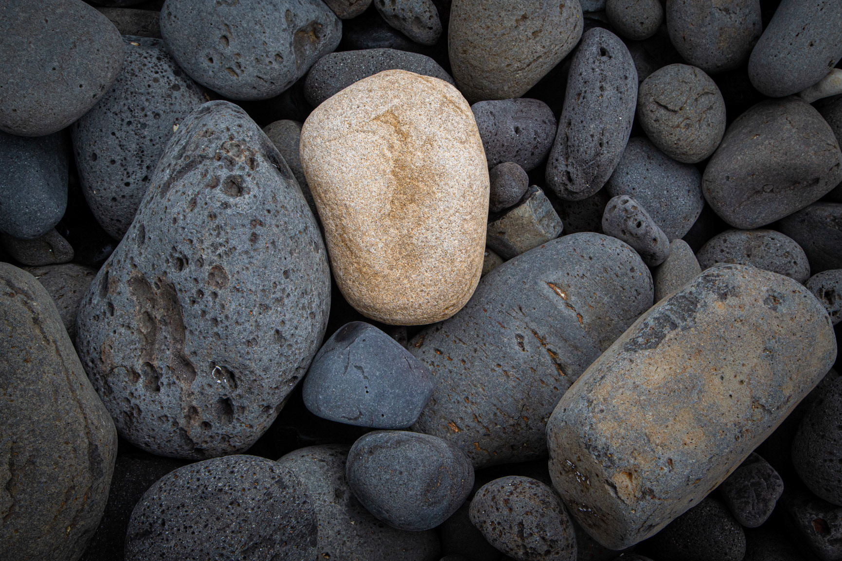 ""Welcome Refugee" - Lord Howe Island 2023