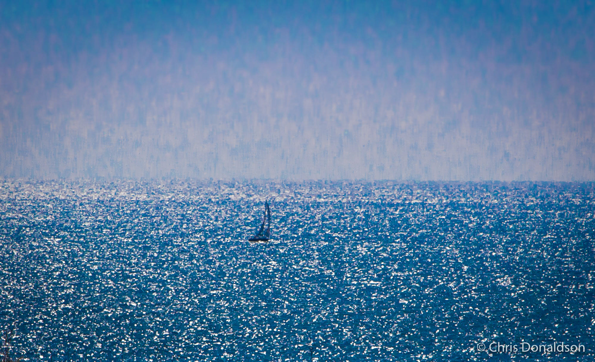Dazzle of Blue (canvas print)