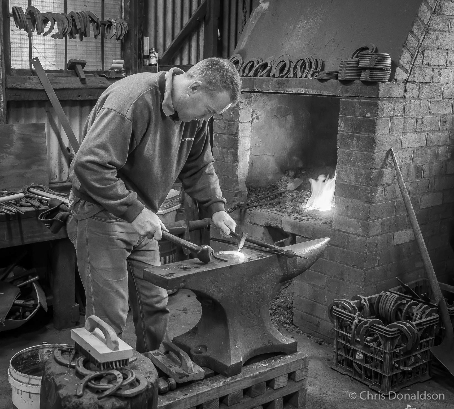 Living History, Randwick Racecourse, 2014