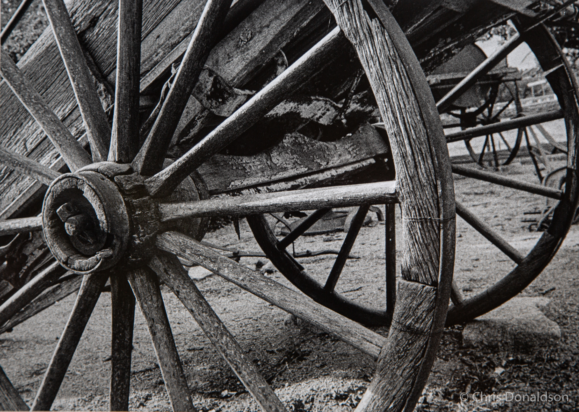 Wheels Within Wheels - Delegate, 2014