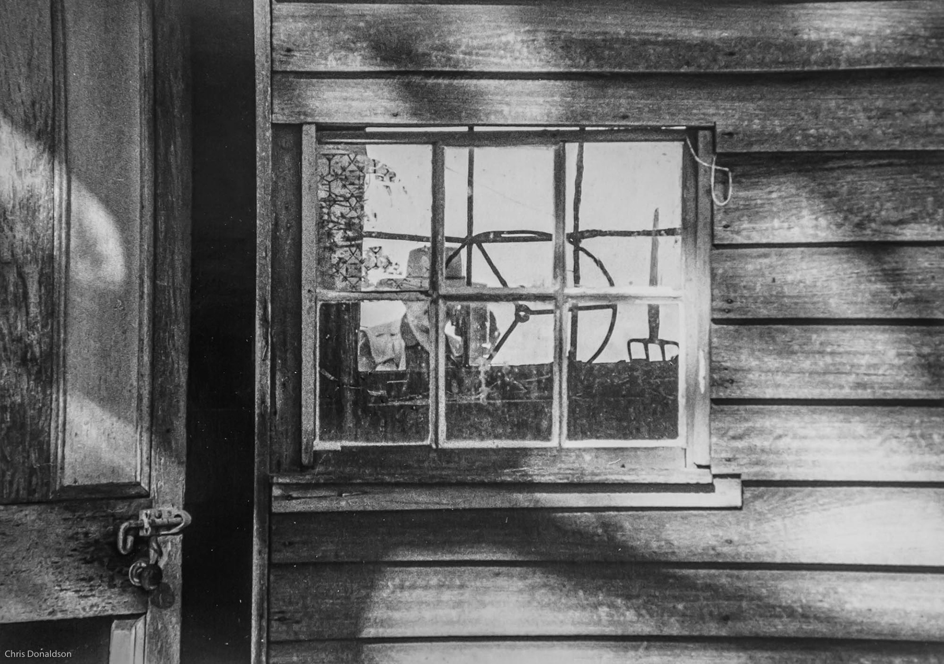 Photographers Look Both Ways