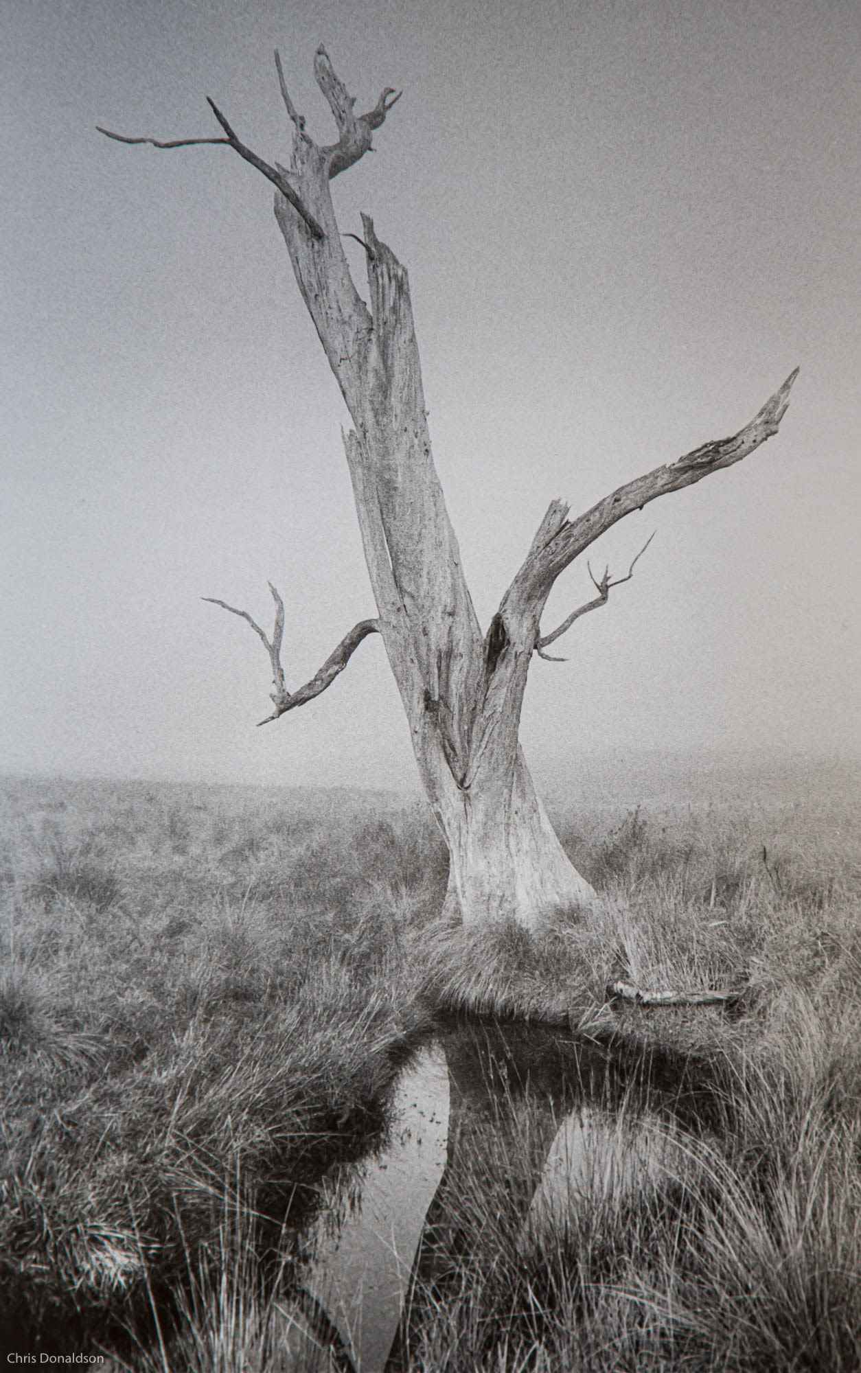 Early Morning Surprise