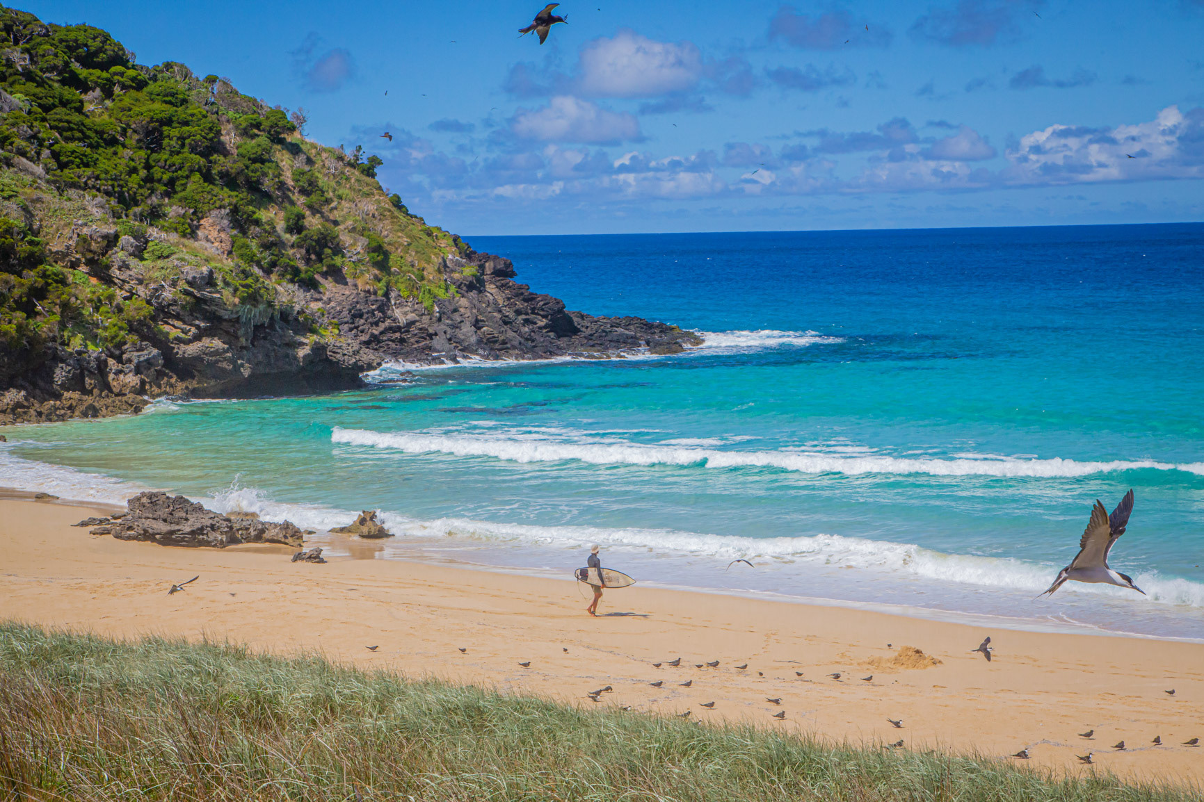 "Blinky Beach Perfect Day" - Lord Howe Island 2023