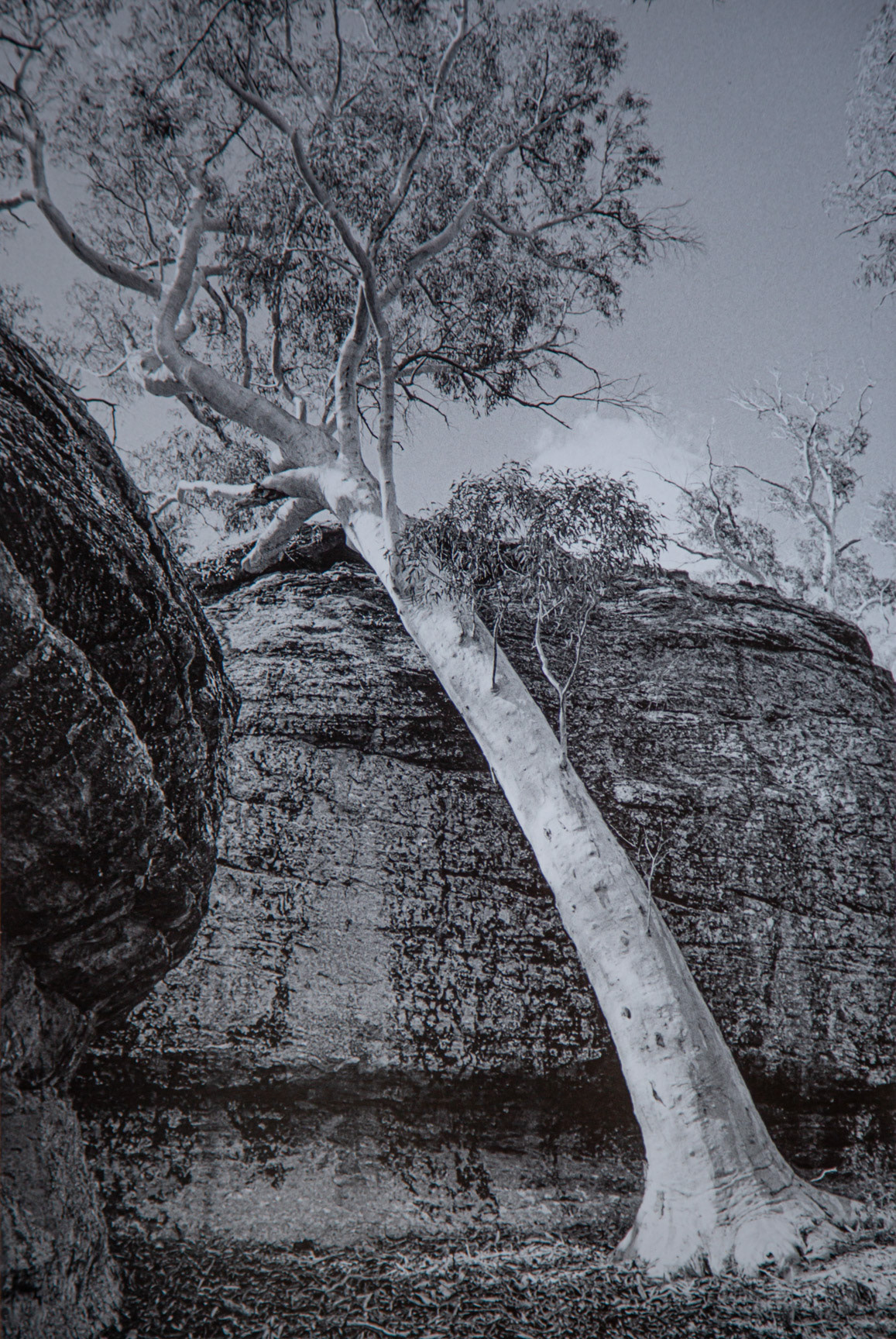 "Rock Solid Mates" - Dunns Swamp NSW 2023