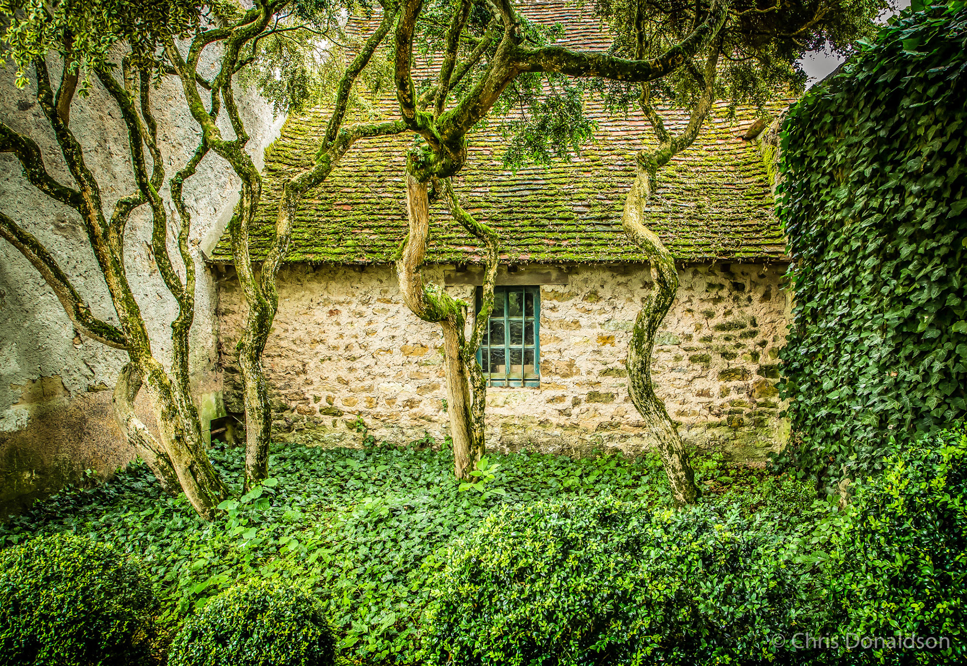  Nohant Wooded Cottage, France, 2014