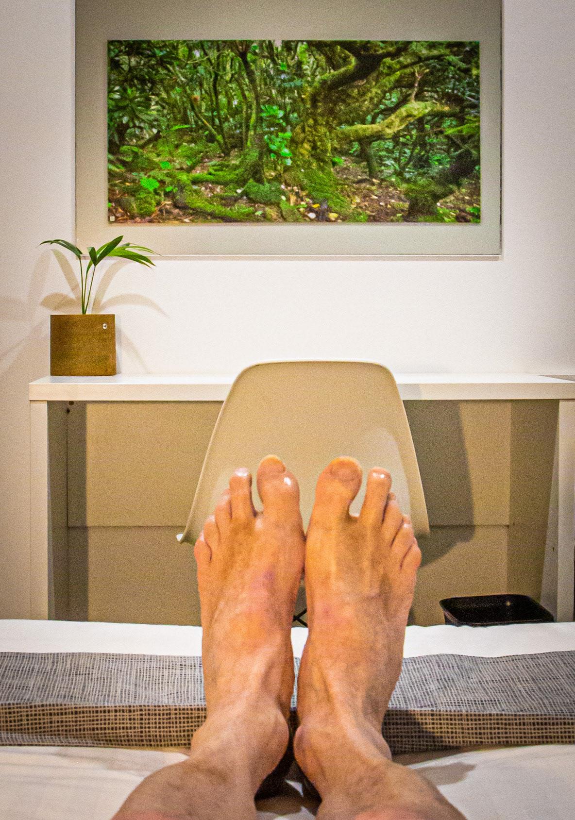 "Lazy View of Mount Gower's Summit" - Lord Howe Island 2023