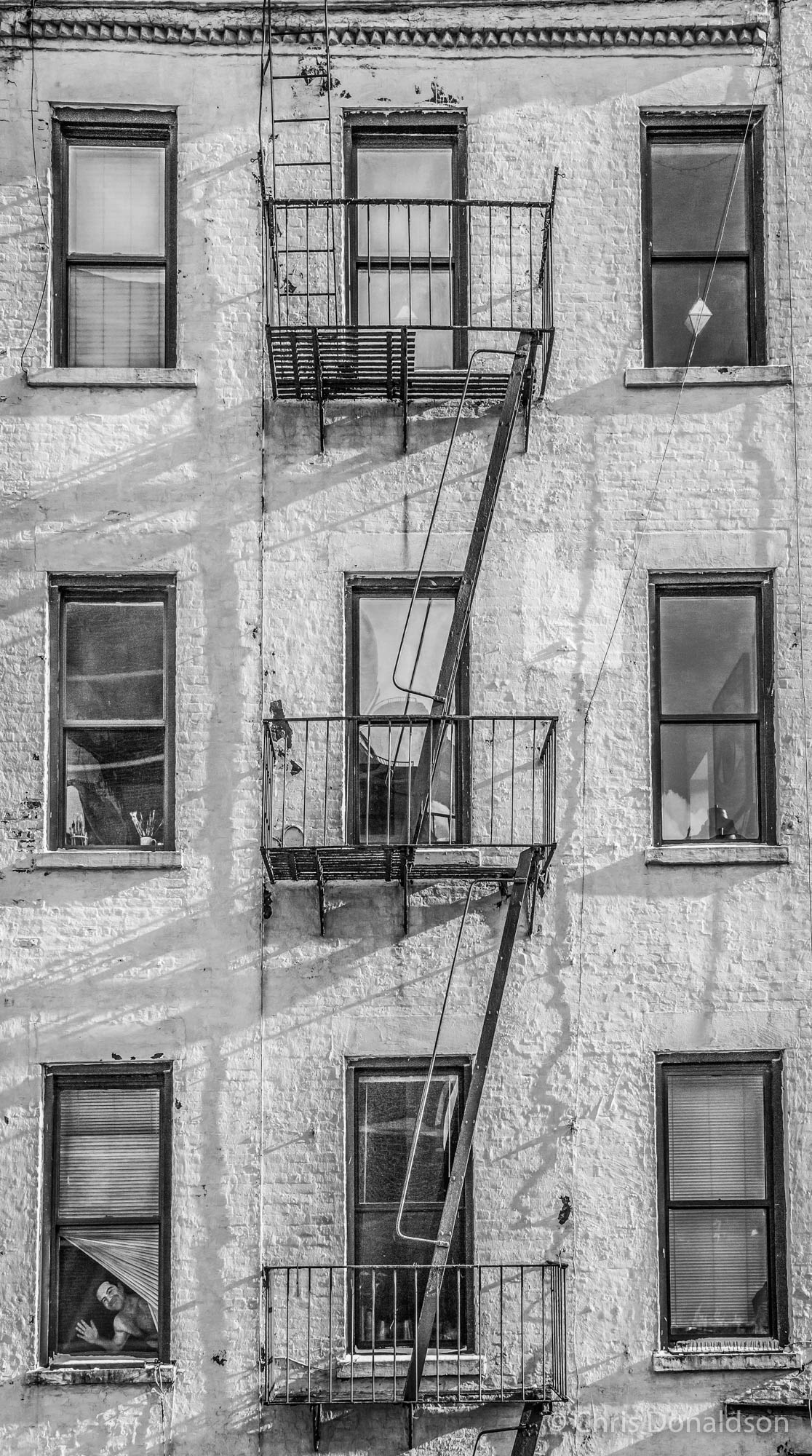 High Line High Five, NY, 2015