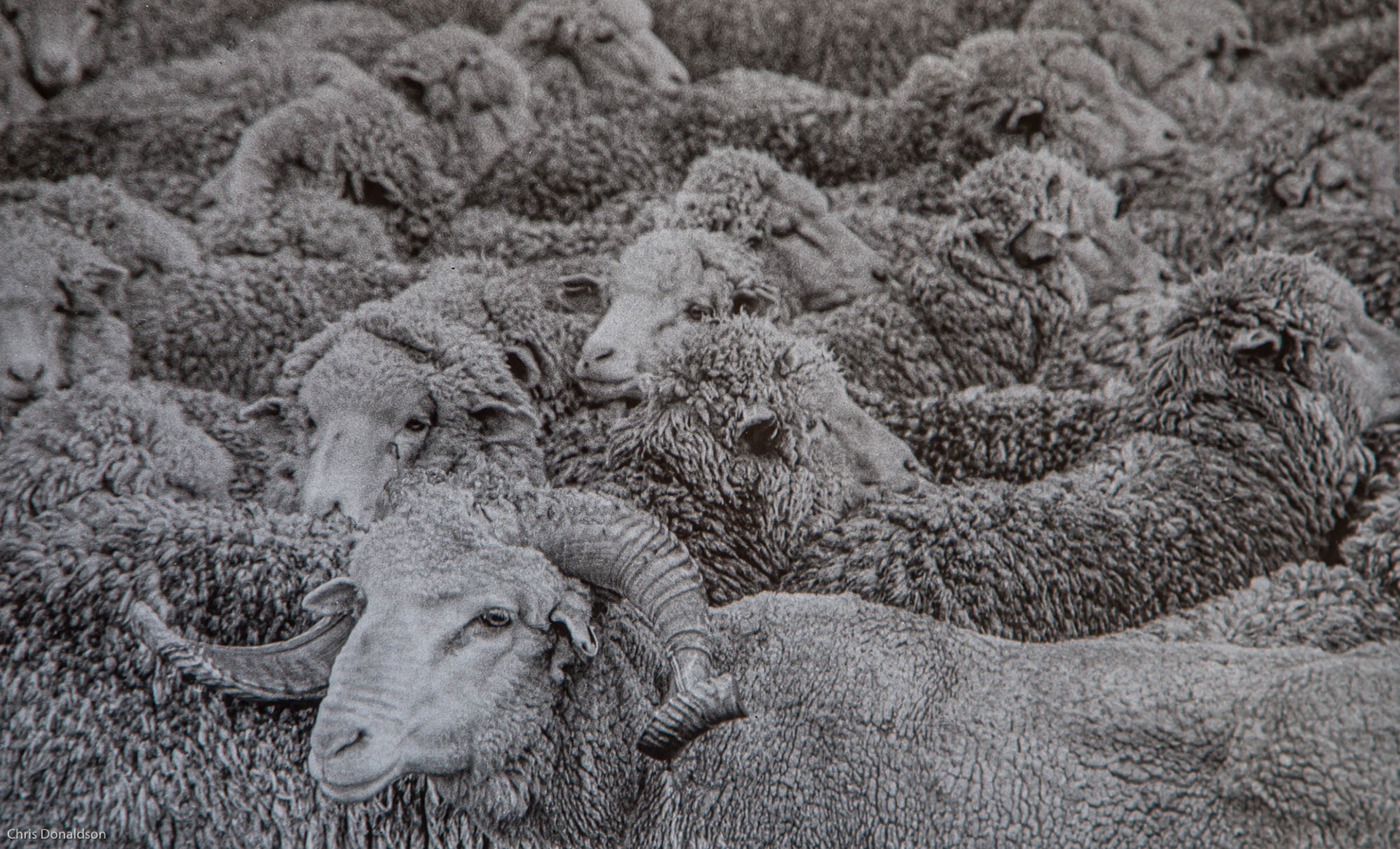 Close Knit Community