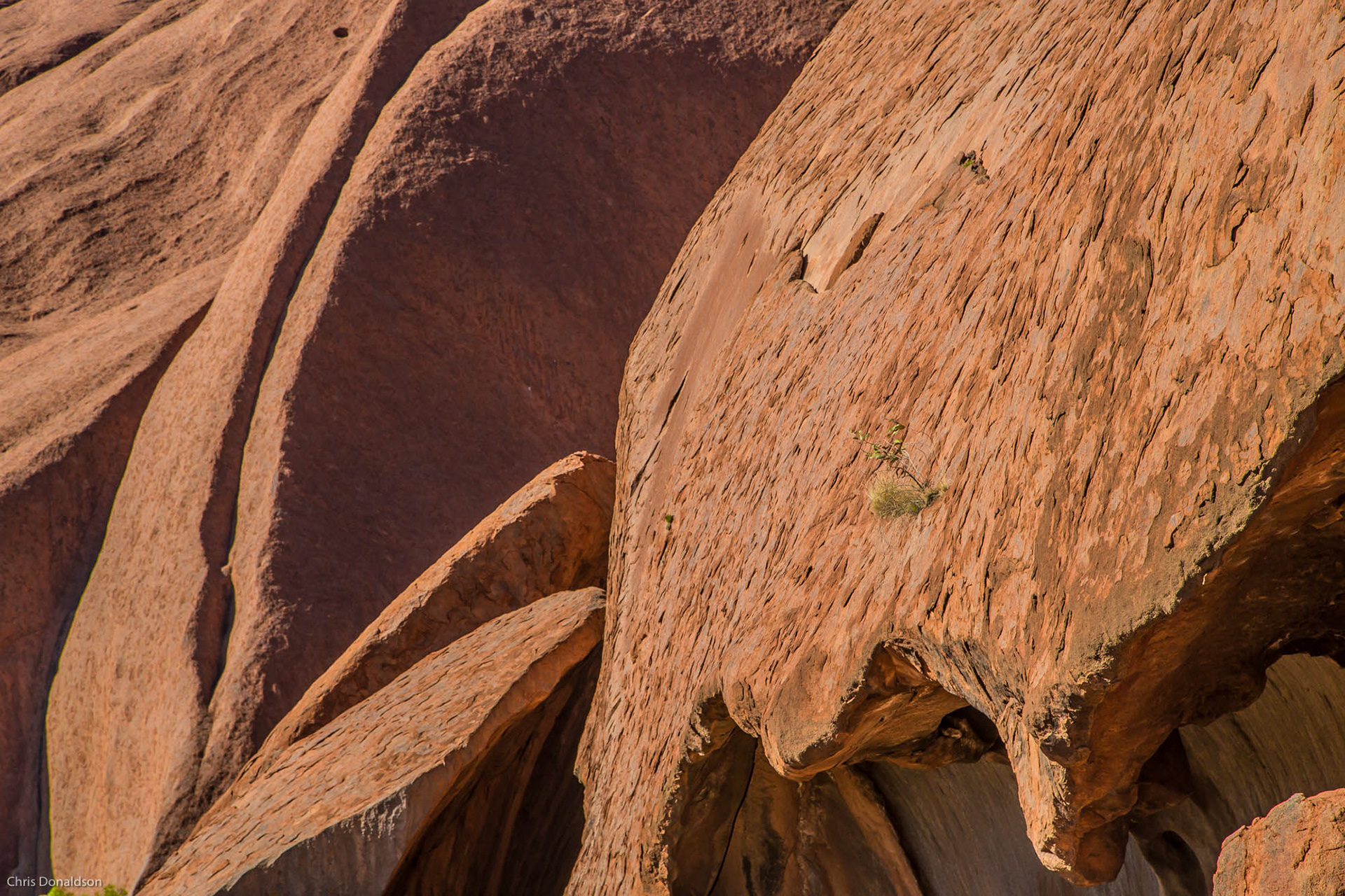 Arrangement of Oranges