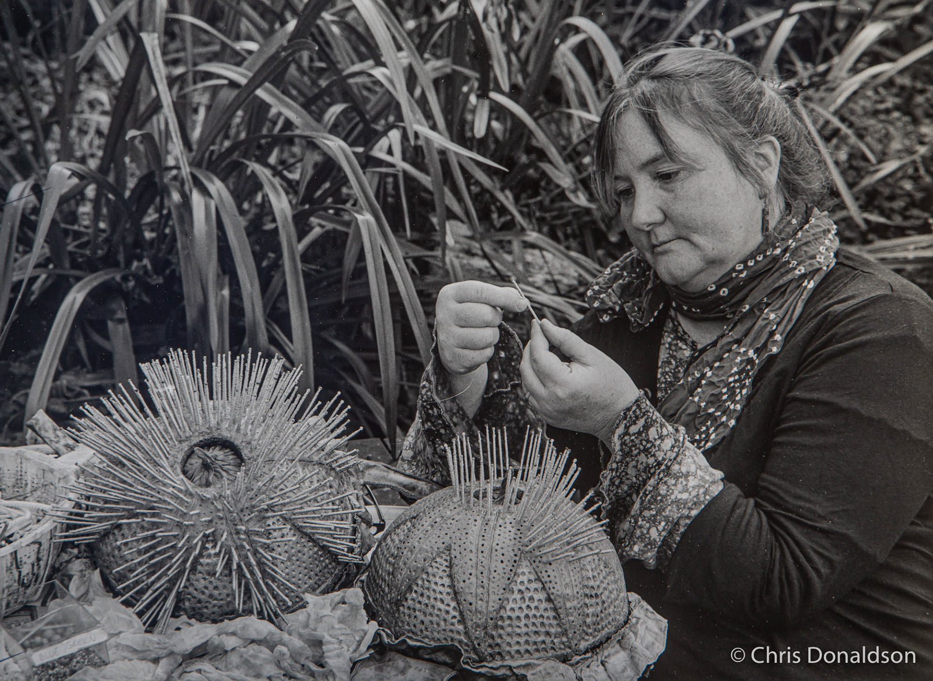 Sadhana Peterson - "Sea Shells"