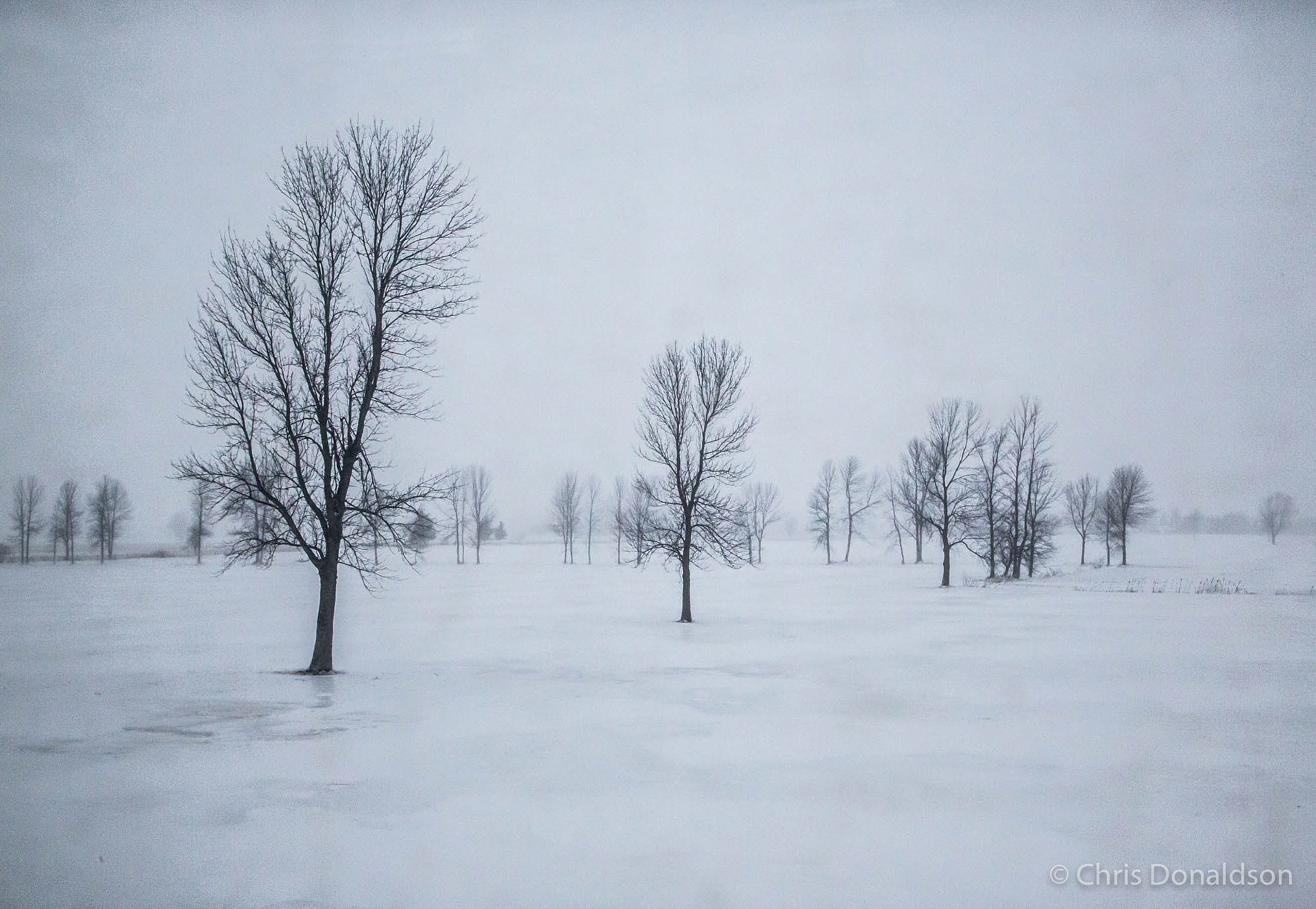 Midwinter Silence, Canada, 2015