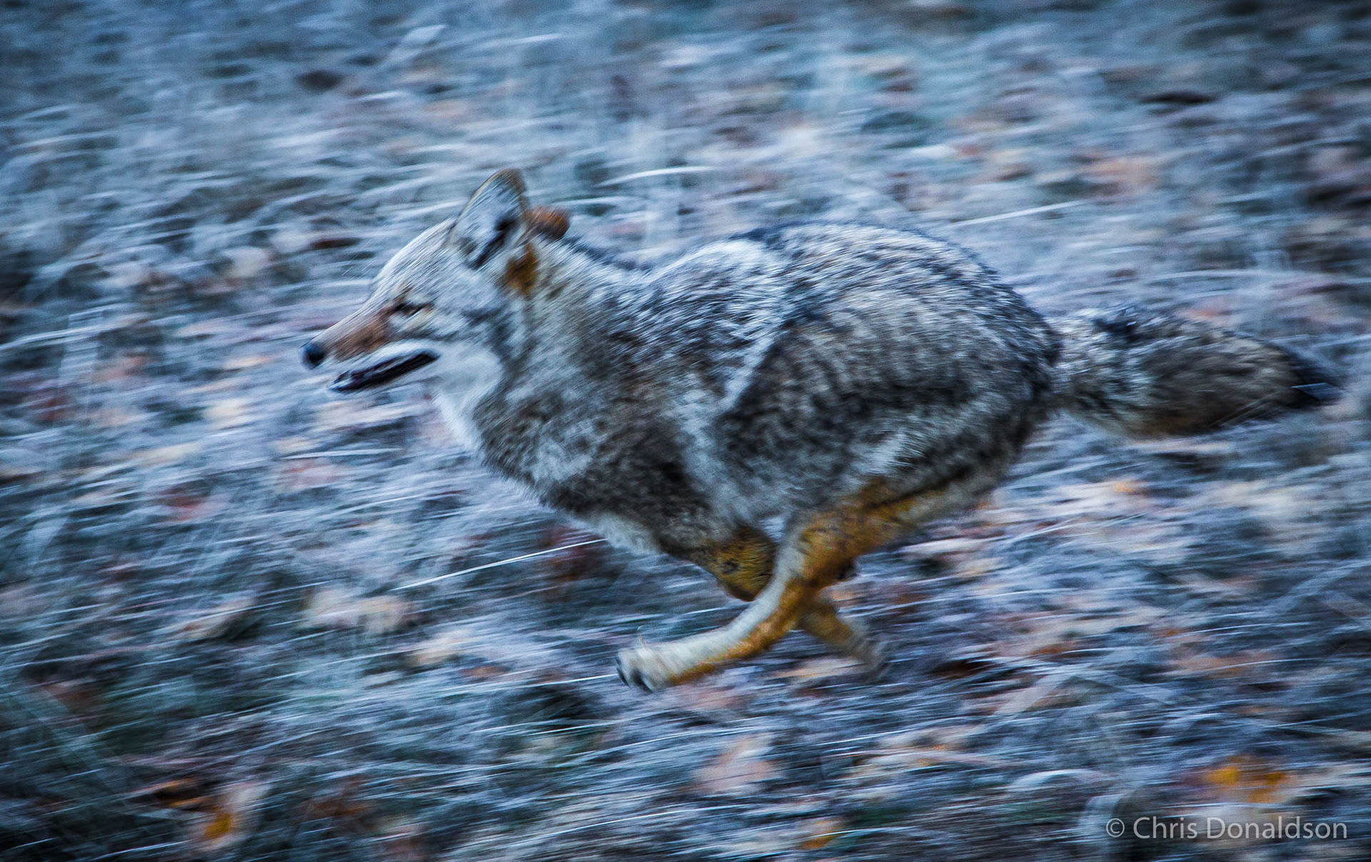 Colin, Yosemite, 2014