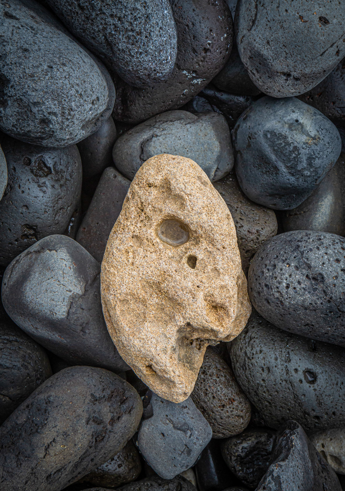"Stone Face after Miro" - Lord Howe Island 2023